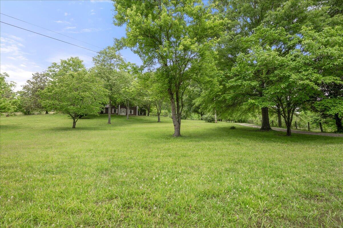 100 Lowell Brown Road Property Photo 54