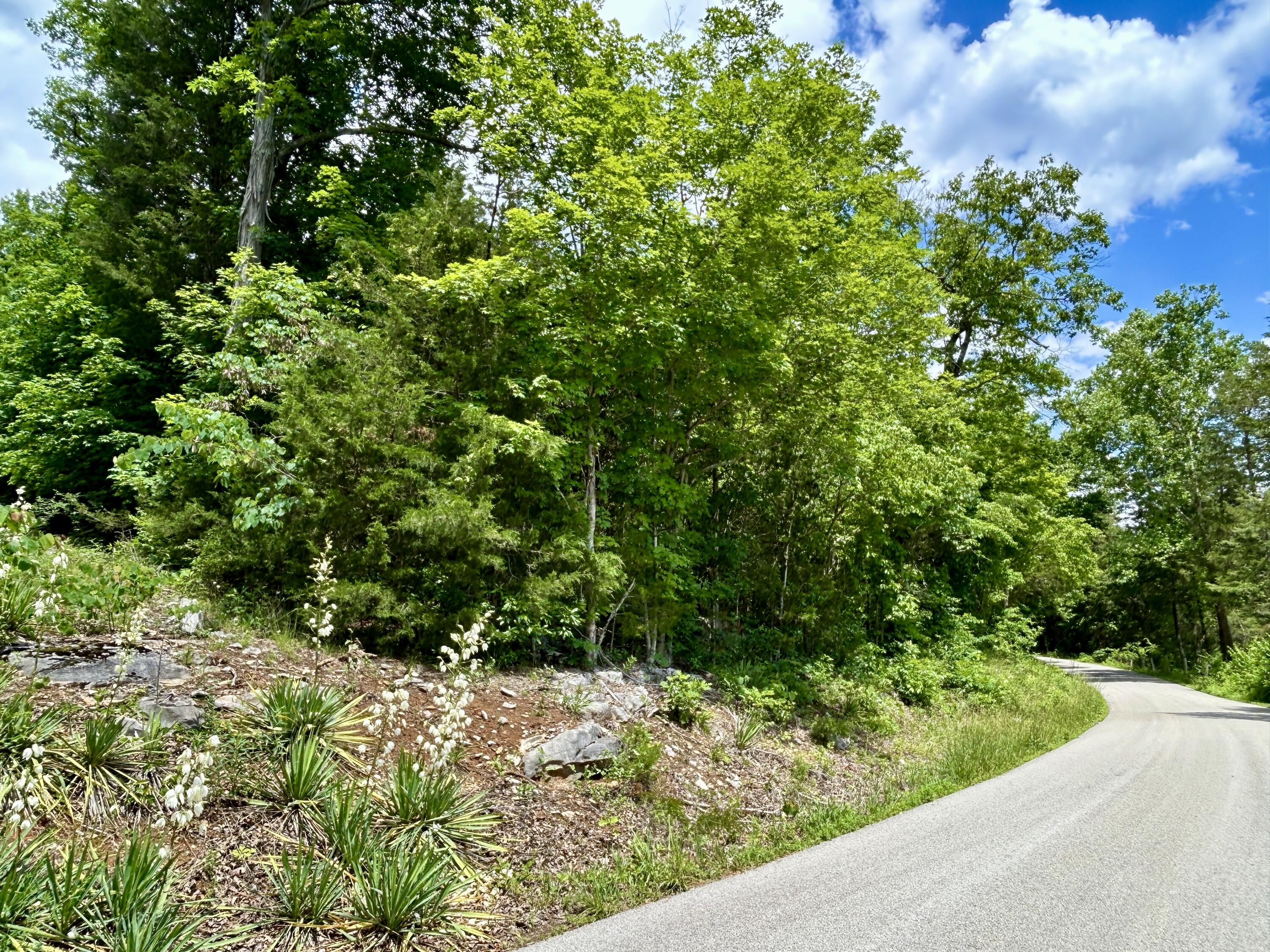 1055 Clay Hill Road Property Photo 4