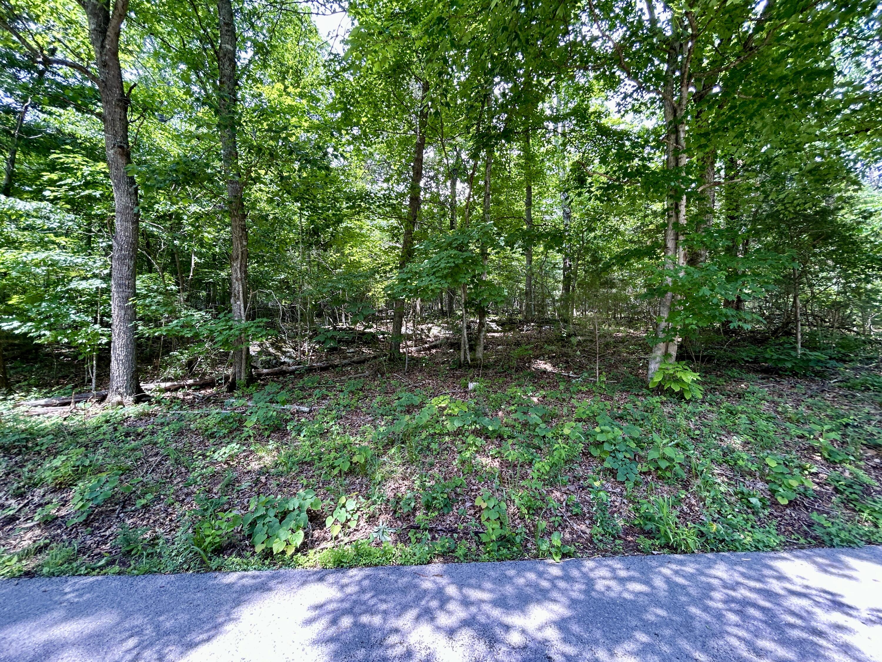 1055 Clay Hill Road Property Photo 5