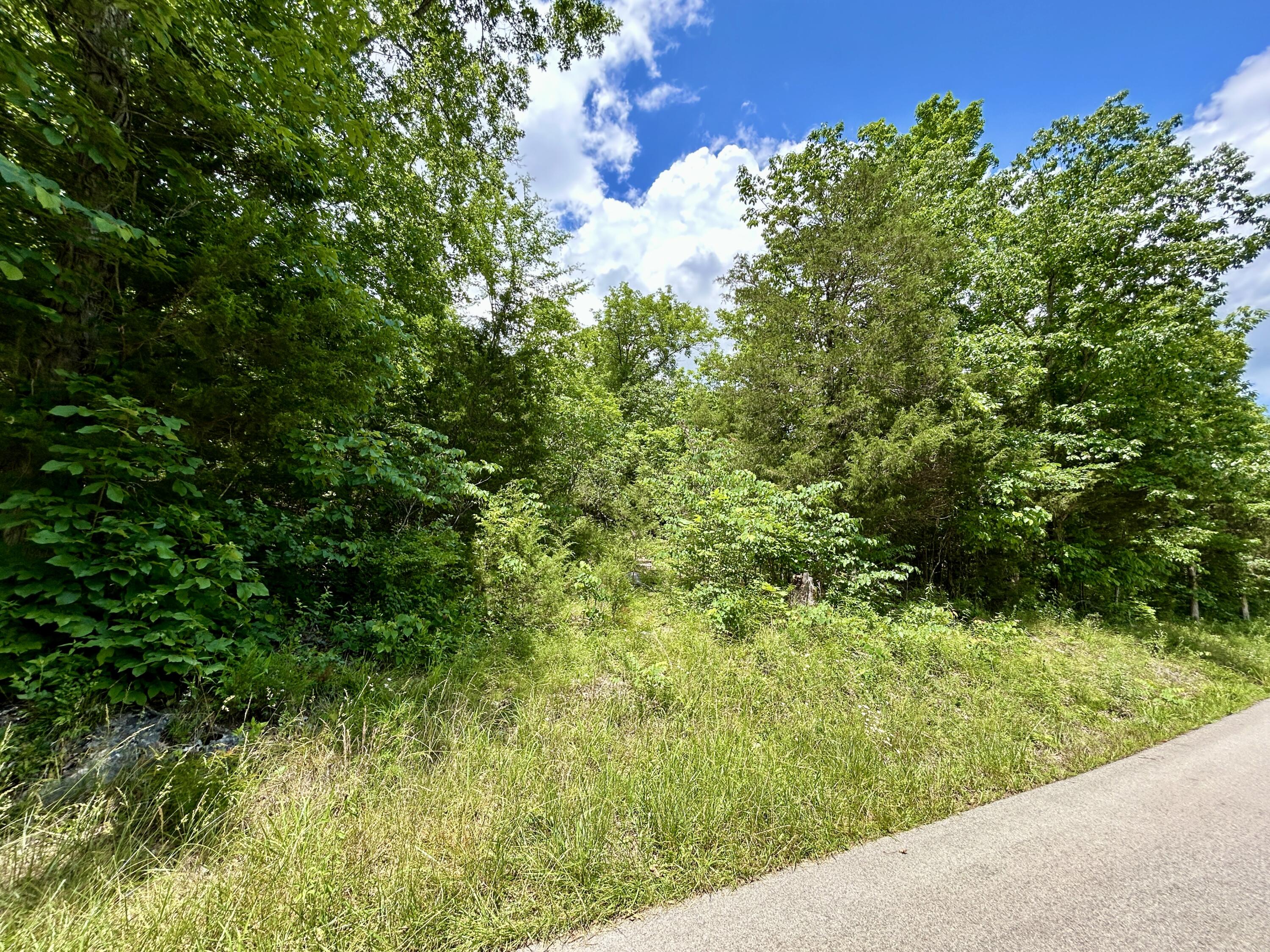1055 Clay Hill Road Property Photo 7