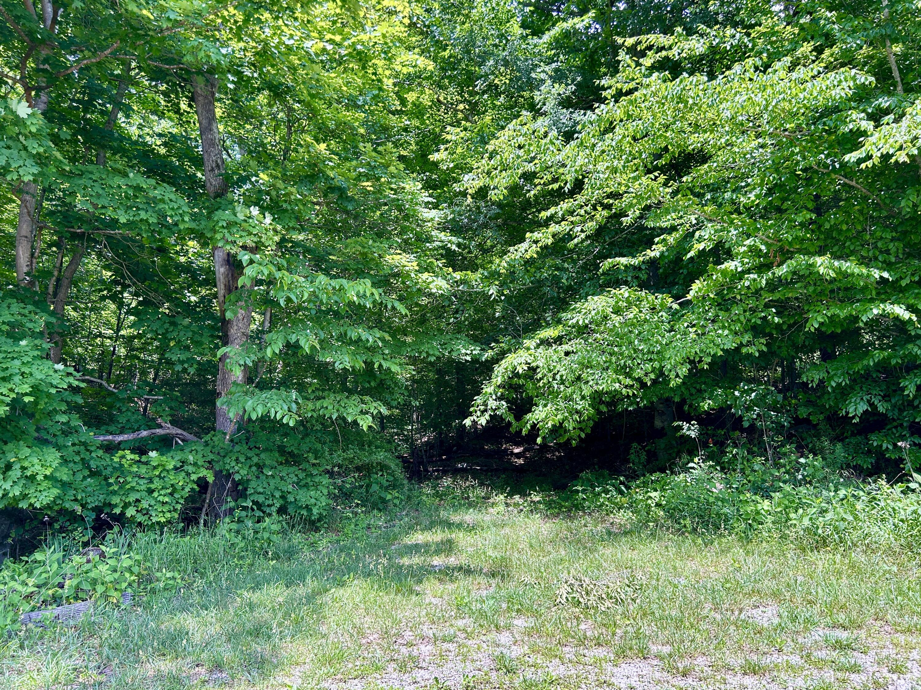 1055 Clay Hill Road Property Photo 8