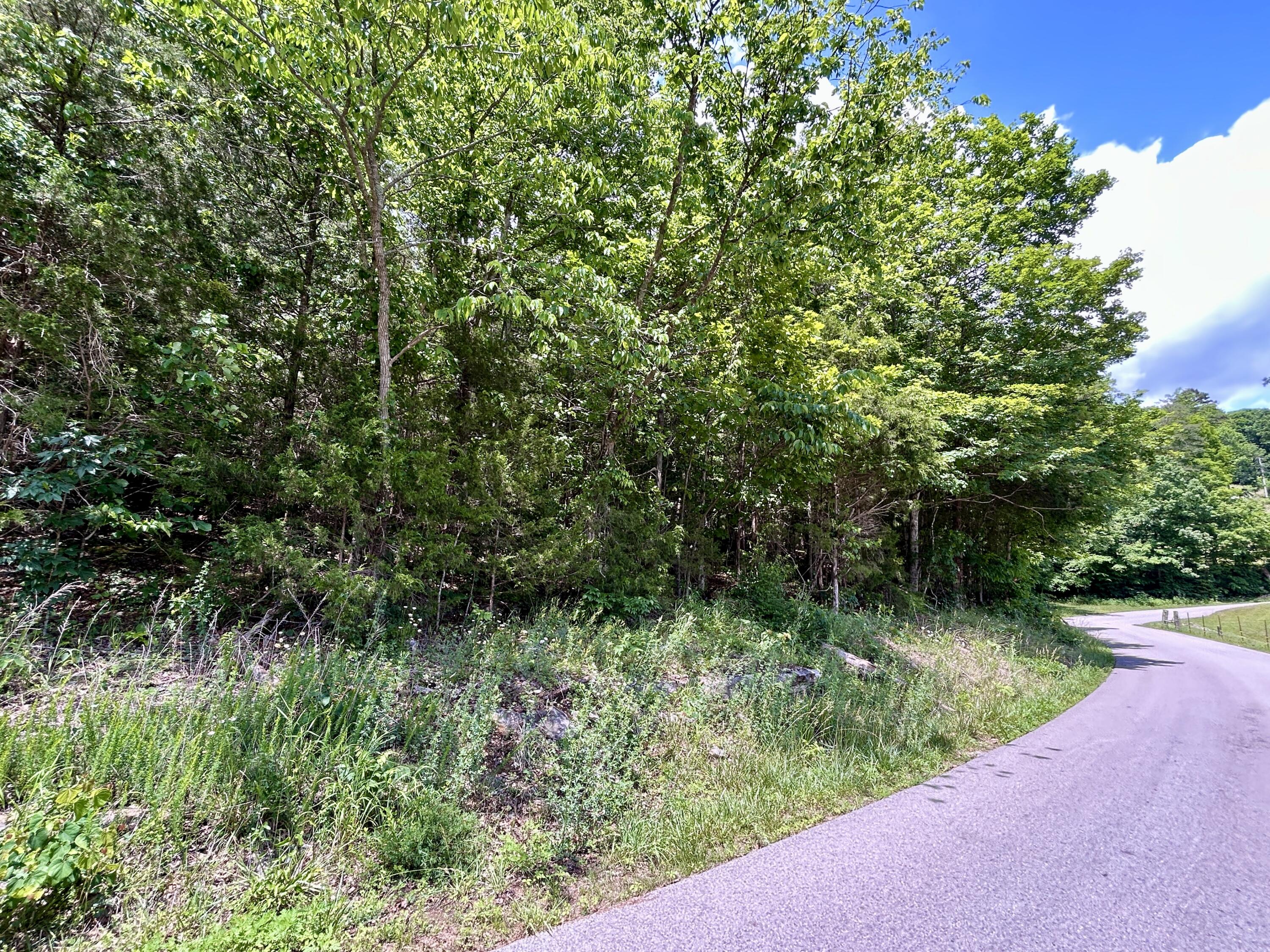 1055 Clay Hill Road Property Photo 9
