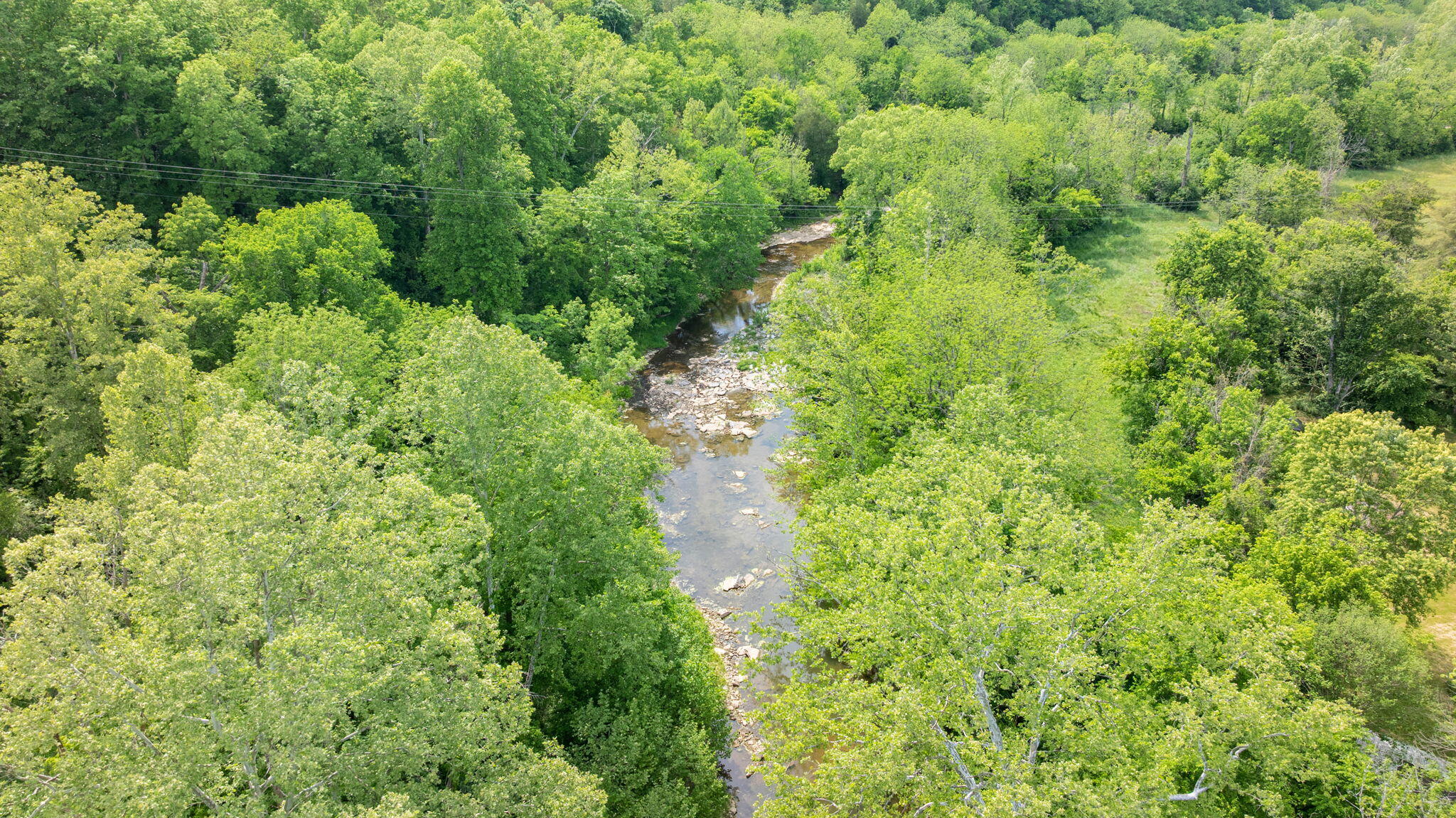 2641 Tates Creek Road Property Photo 33