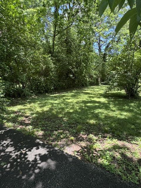 132 Wilderness Road Property Photo 22