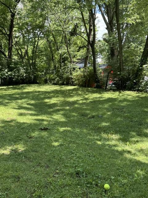 132 Wilderness Road Property Photo 23