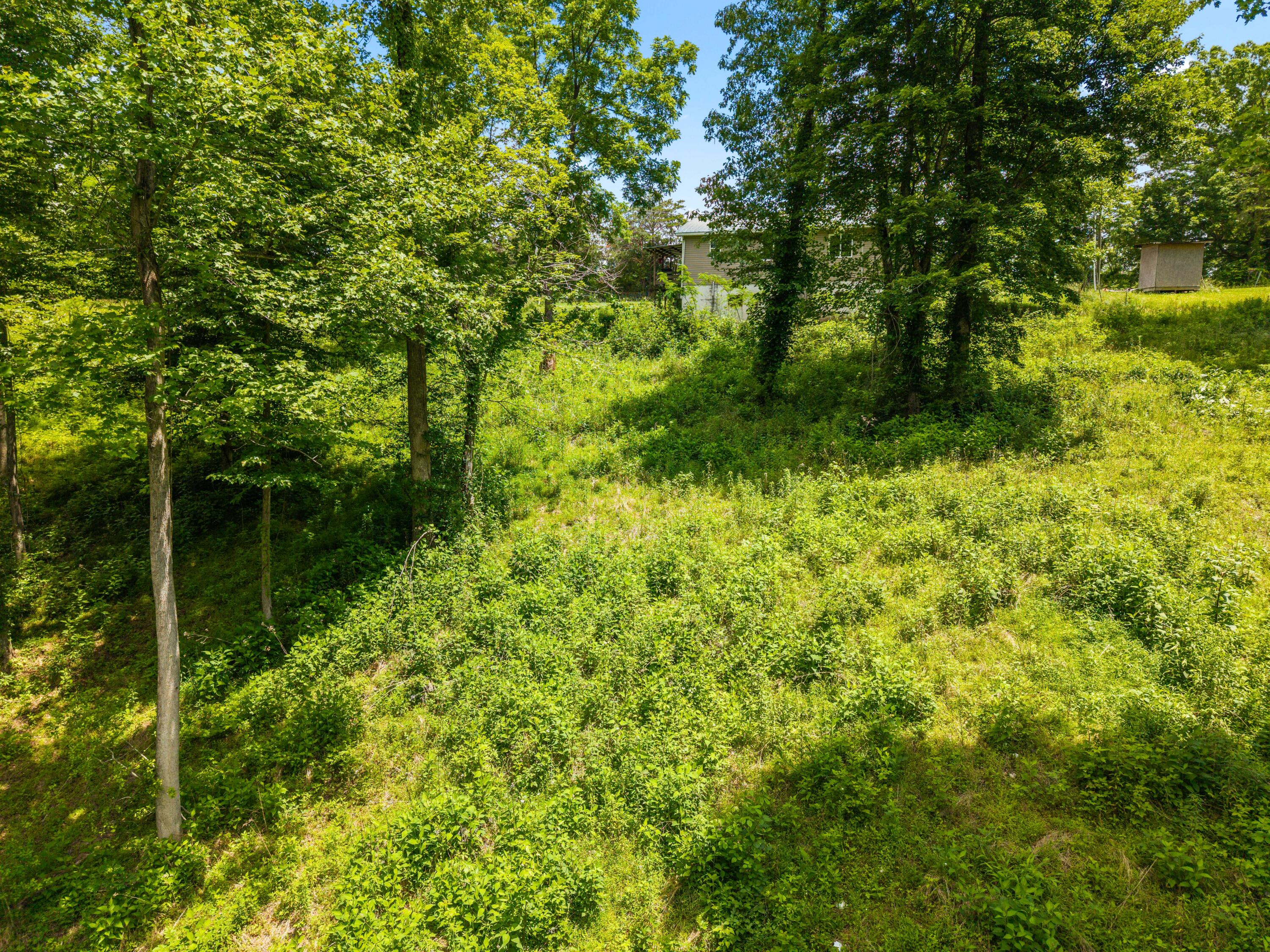 23 Ky-1609 Property Photo 11