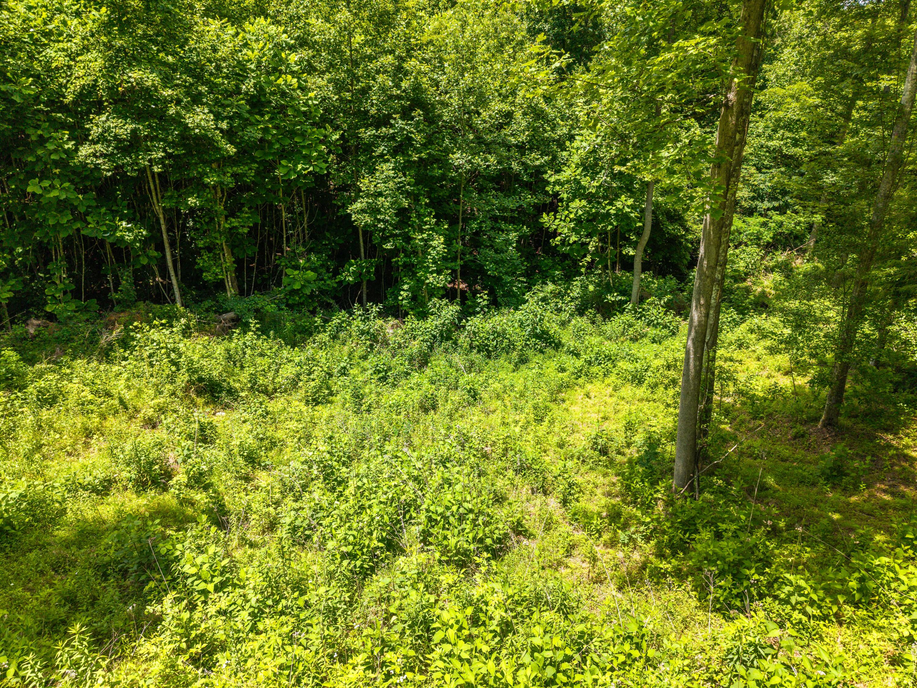 23 Ky-1609 Property Photo 12