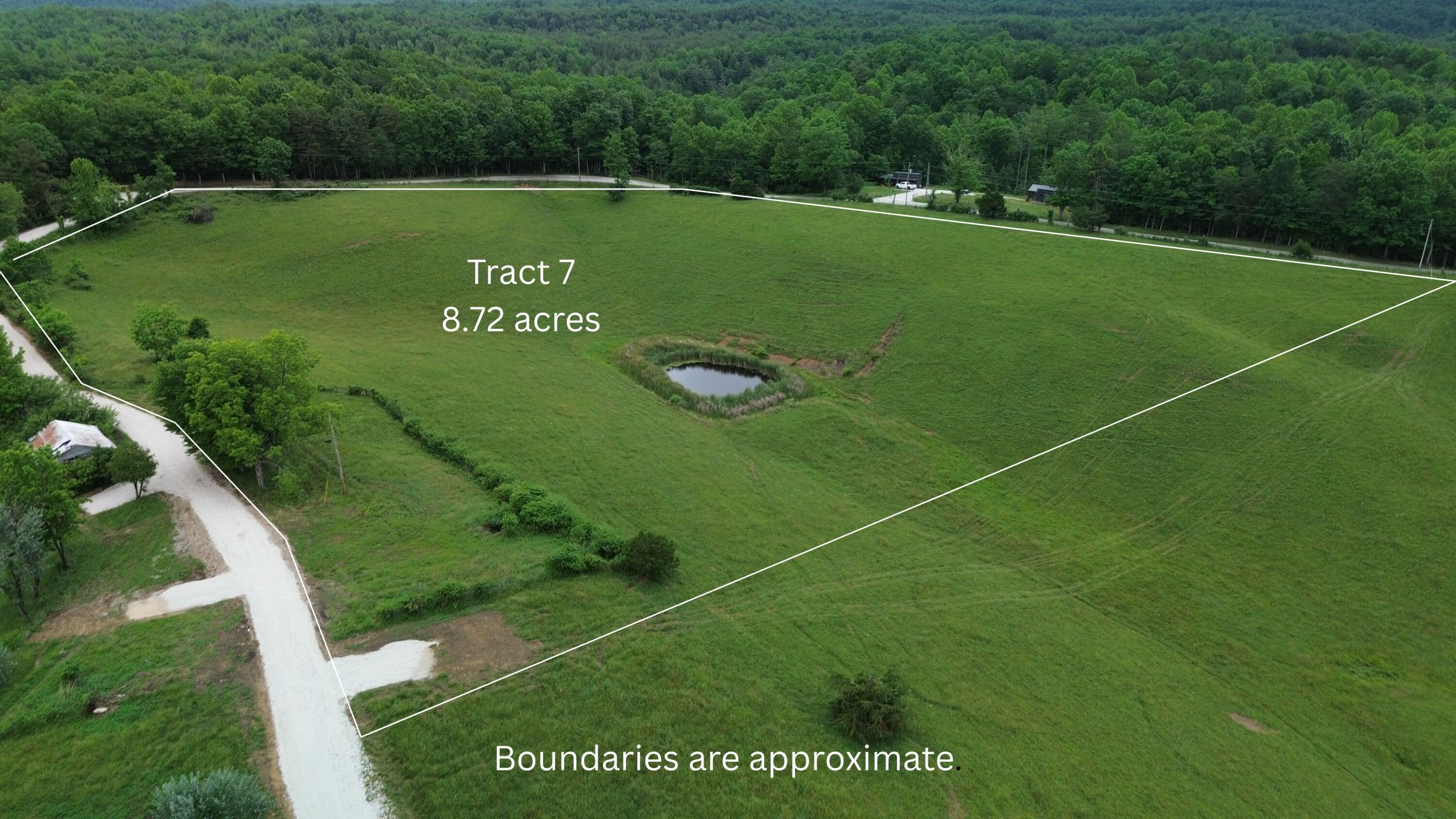 4135 Big Andy Ridge Road Tract 7 Property Photo 2