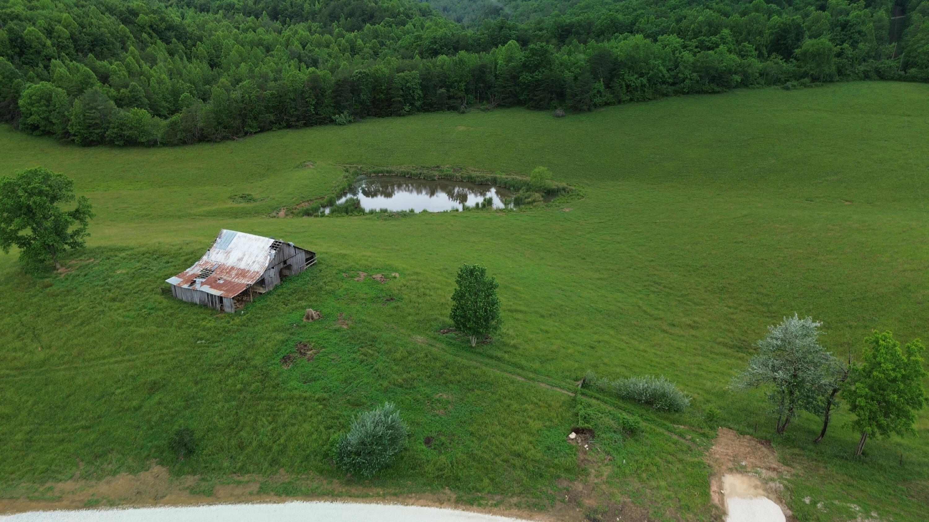 4135 Big Andy Ridge Road Tract 2 Property Photo 4