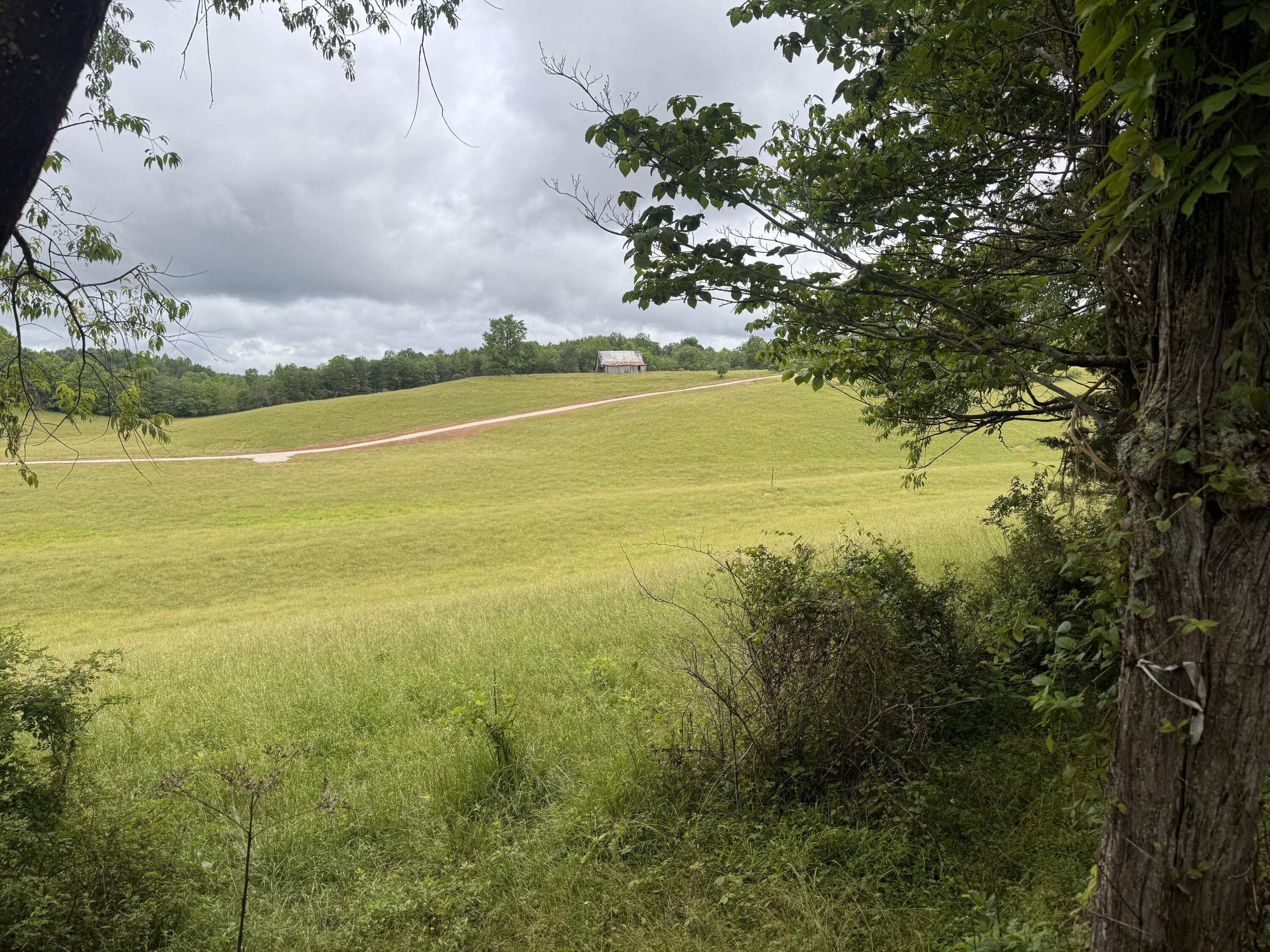 4135 Big Andy Ridge Road Tract 6 Property Photo 6