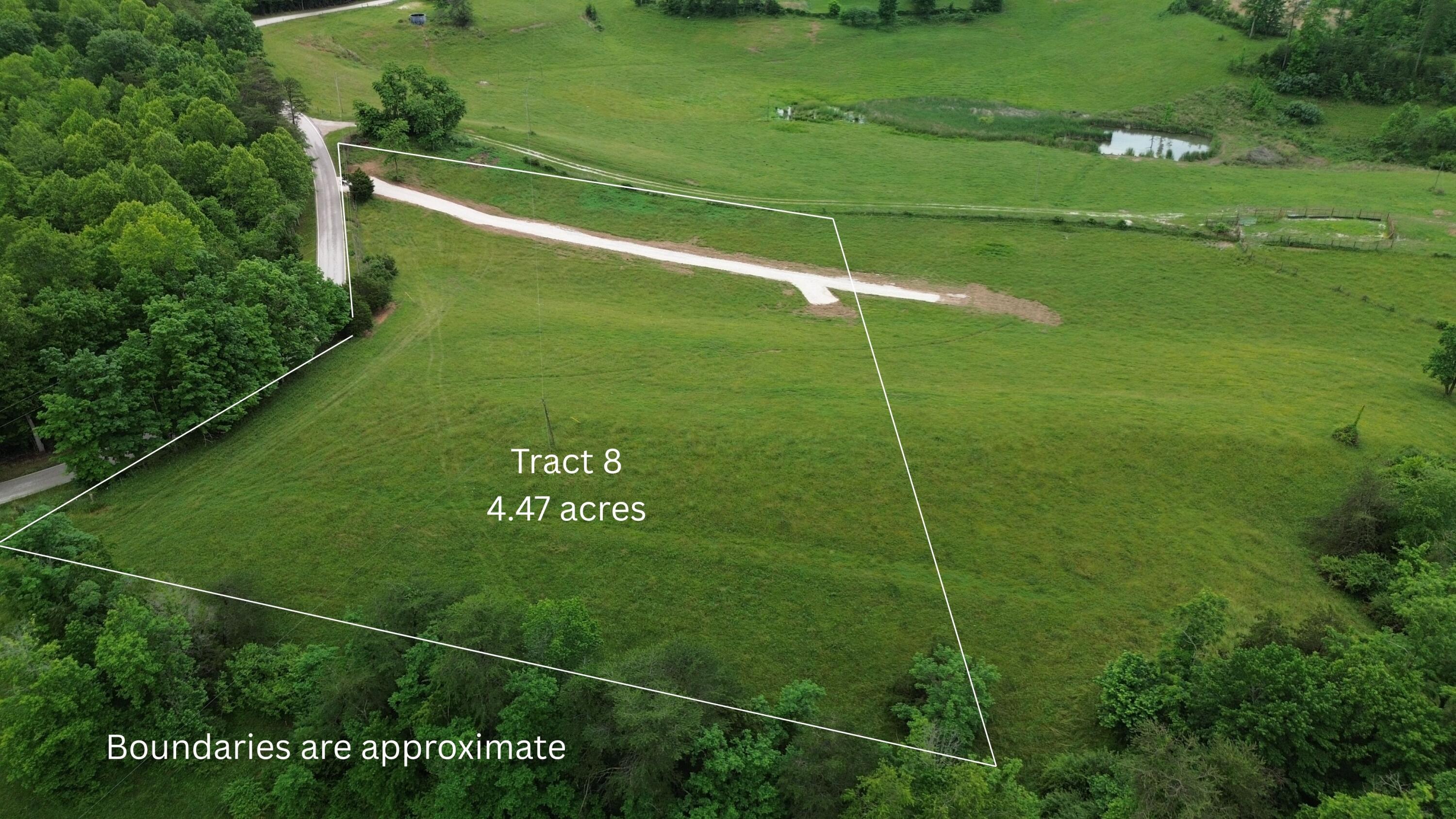 4135 Big Andy Ridge Road Tract 8 Property Photo 2
