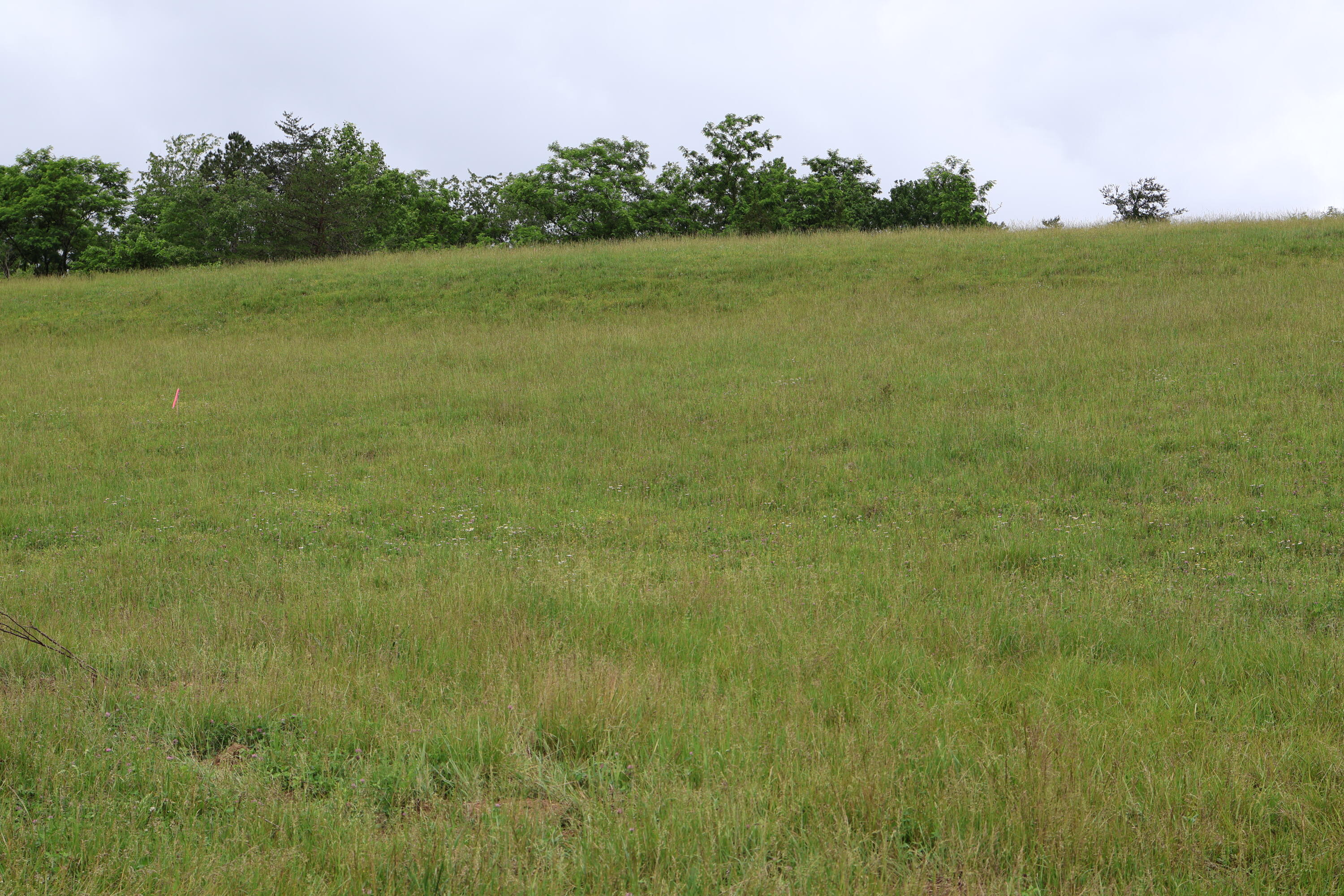 4135 Big Andy Ridge Road Tract 8 Property Photo 3