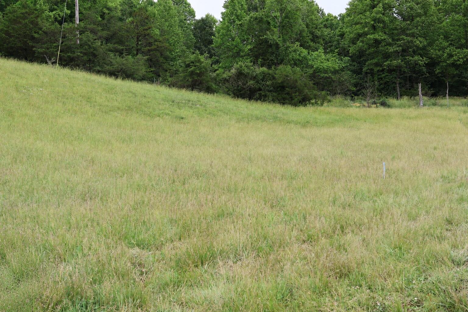 4135 Big Andy Ridge Road Tract 8 Property Photo 4