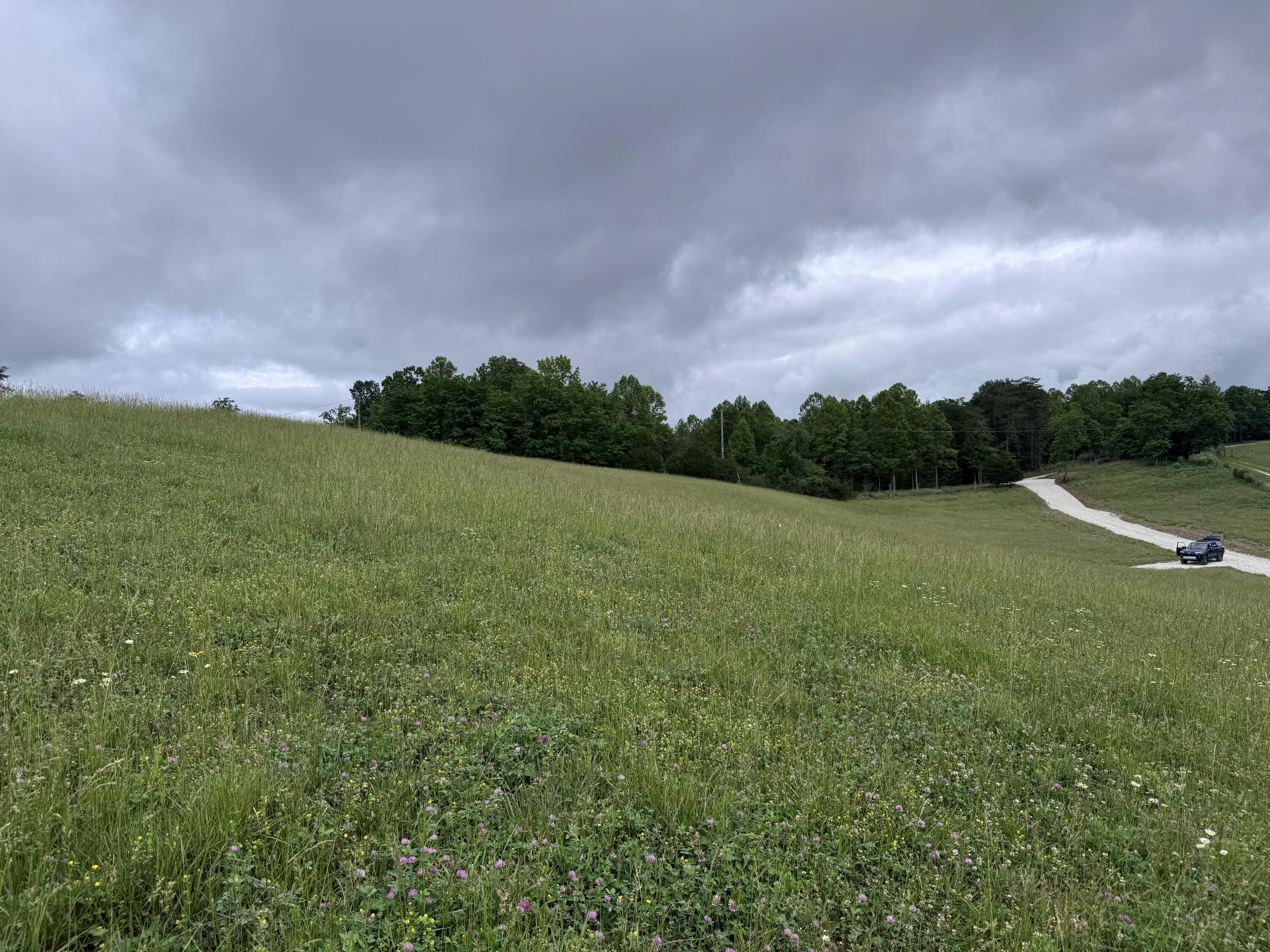 4135 Big Andy Ridge Road Tract 8 Property Photo 6