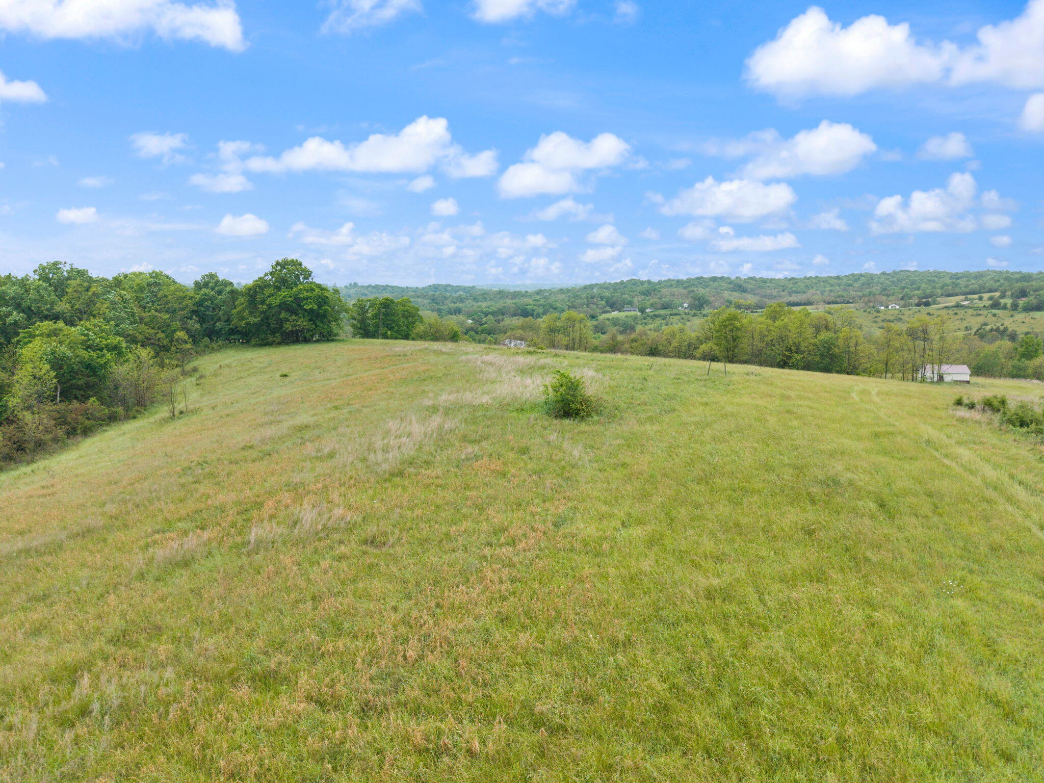 4851 Pinhook Road Property Photo 2
