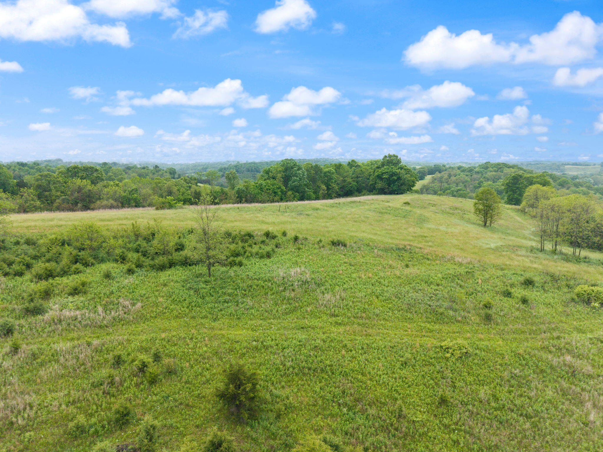4851 Pinhook Road Property Photo 10