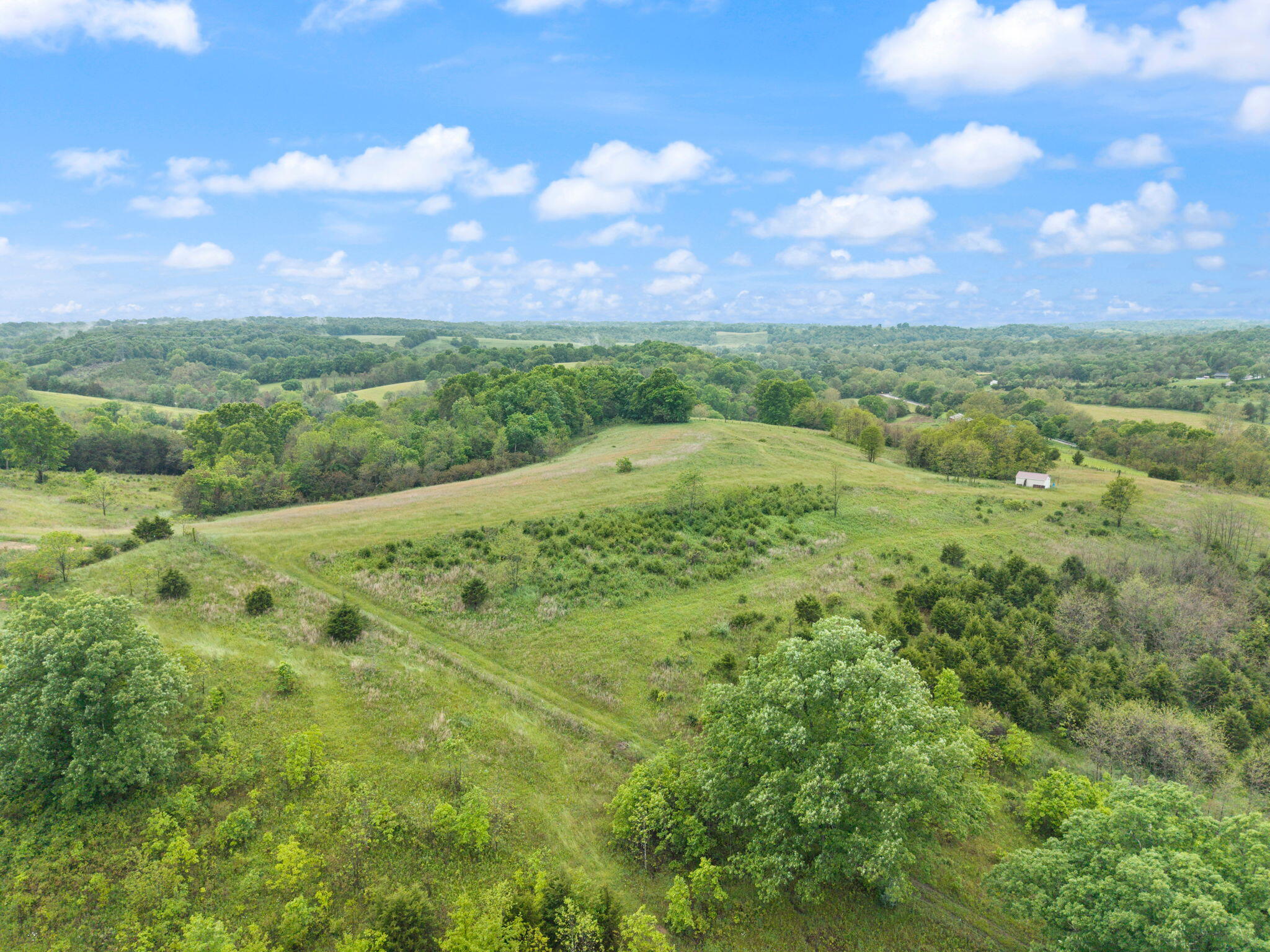 4851 Pinhook Road Property Photo 13