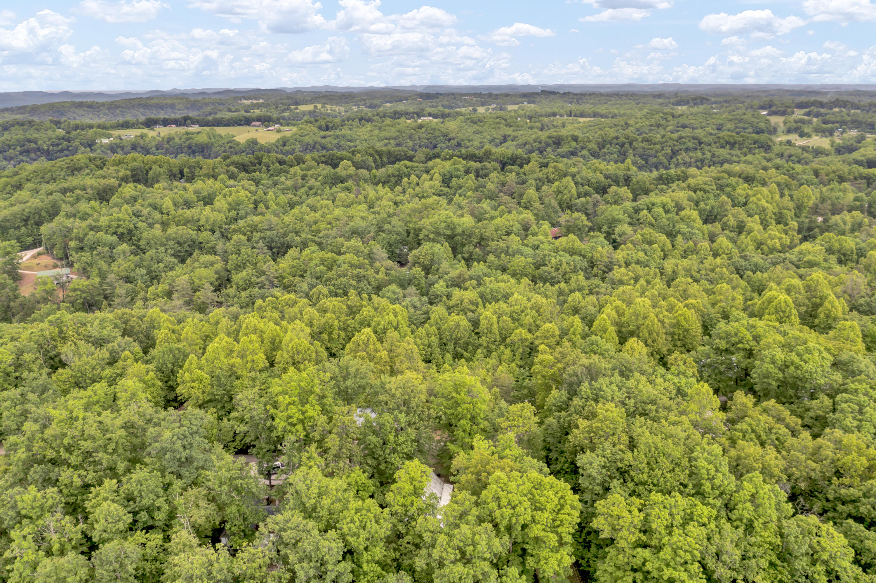 401 Turkey Ridge Road Property Photo 62