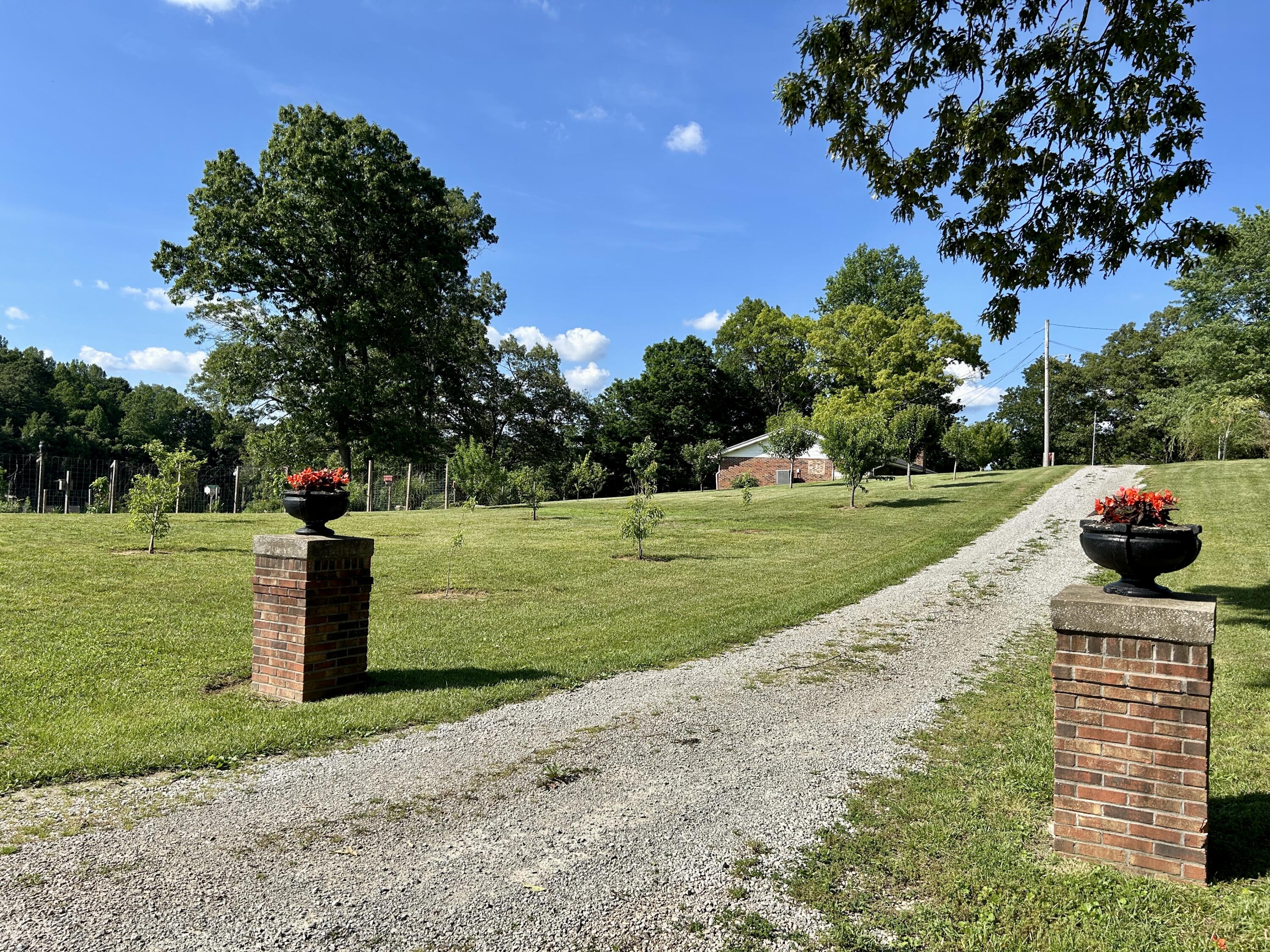 94 Tarter Cemetery Road Property Photo 4