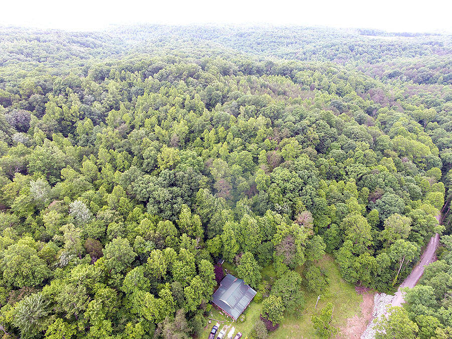 452 Langford Prong Road Property Photo 1