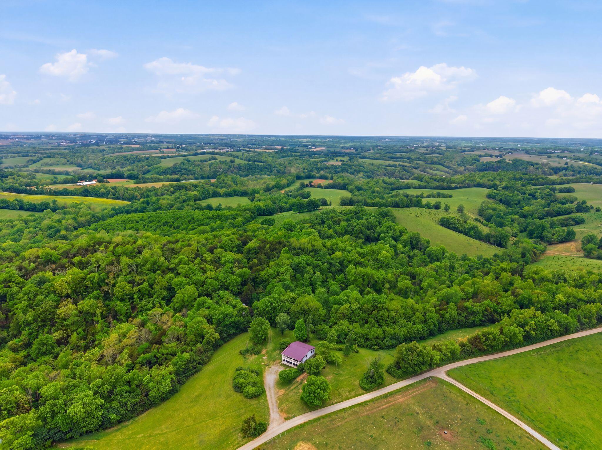 1225 Rooster Run Road Property Photo 26