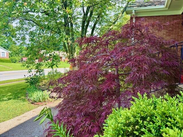 3304 Bellefonte Drive Property Photo 42