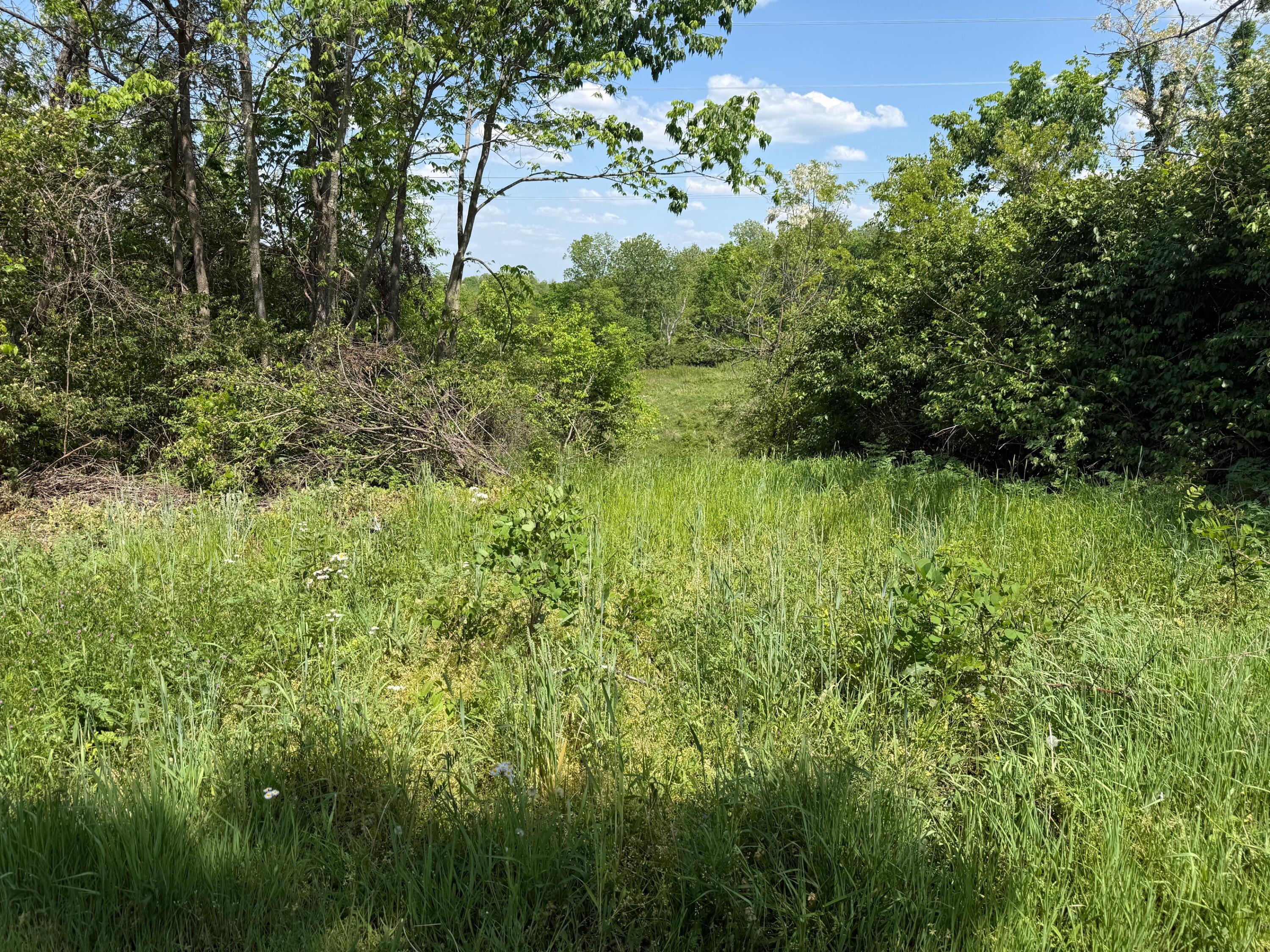 5374 Lexington Road Property Photo 7