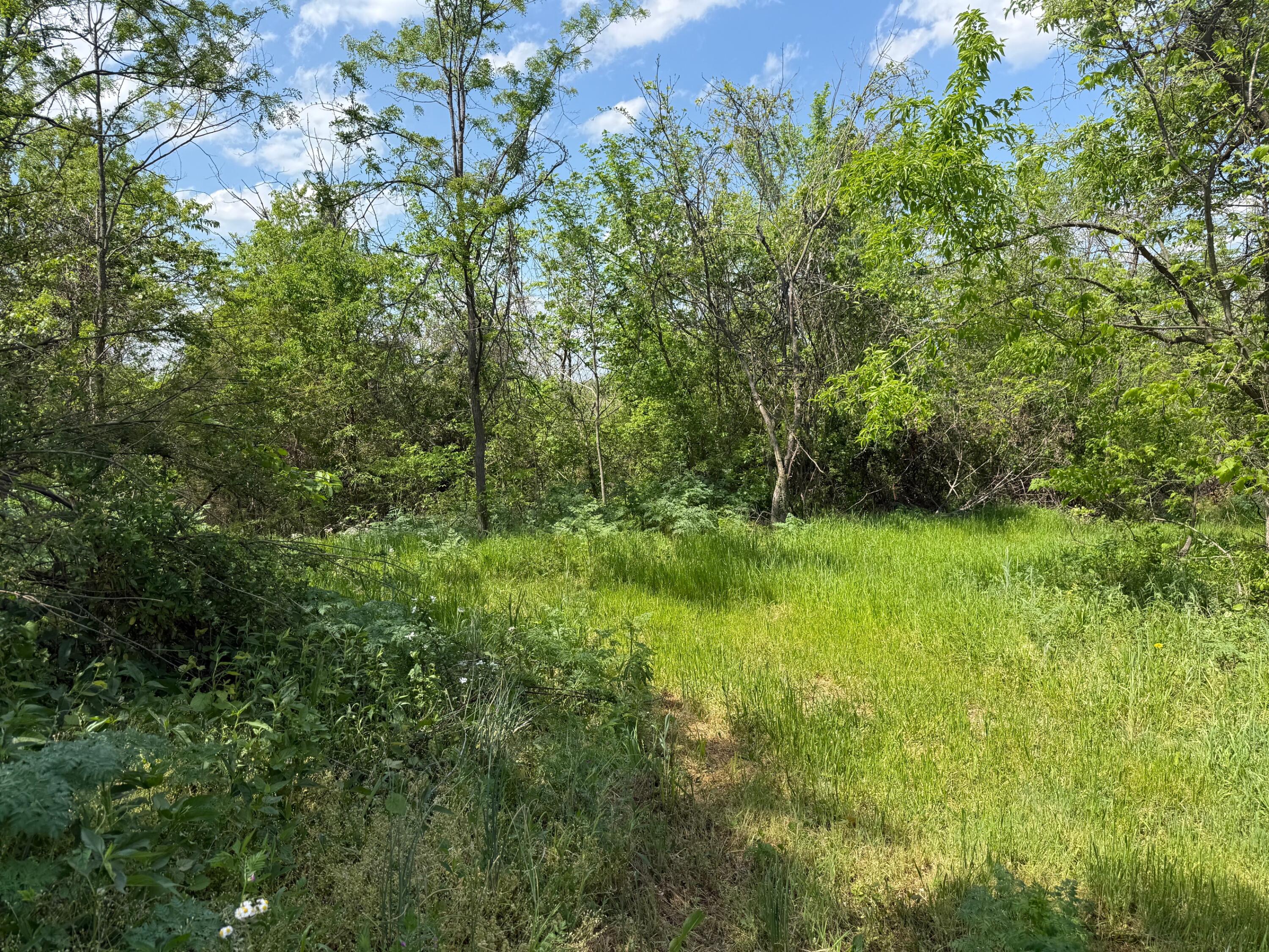 5374 Lexington Road Property Photo 8