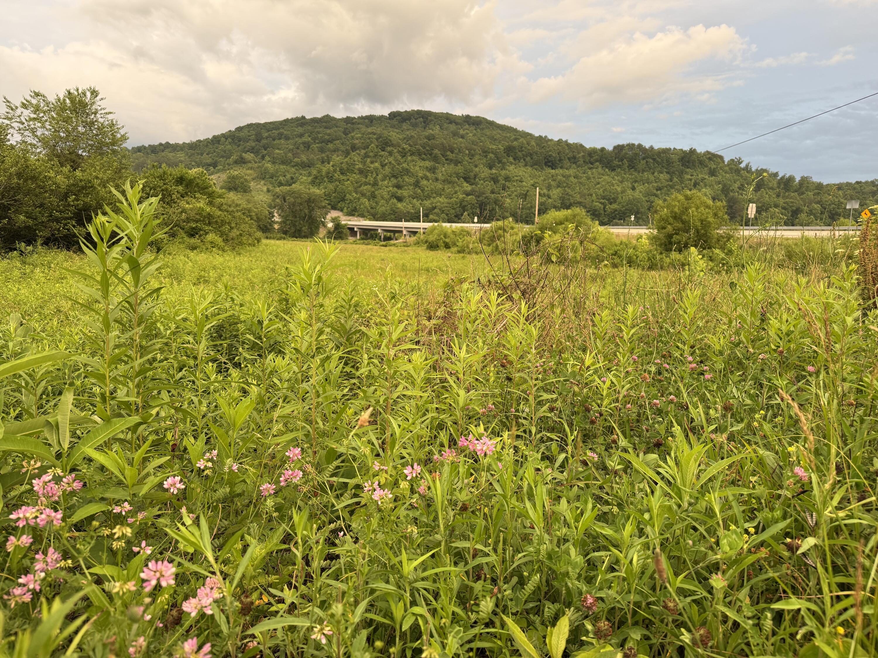 3988 Kentucky 592 Property Photo 2