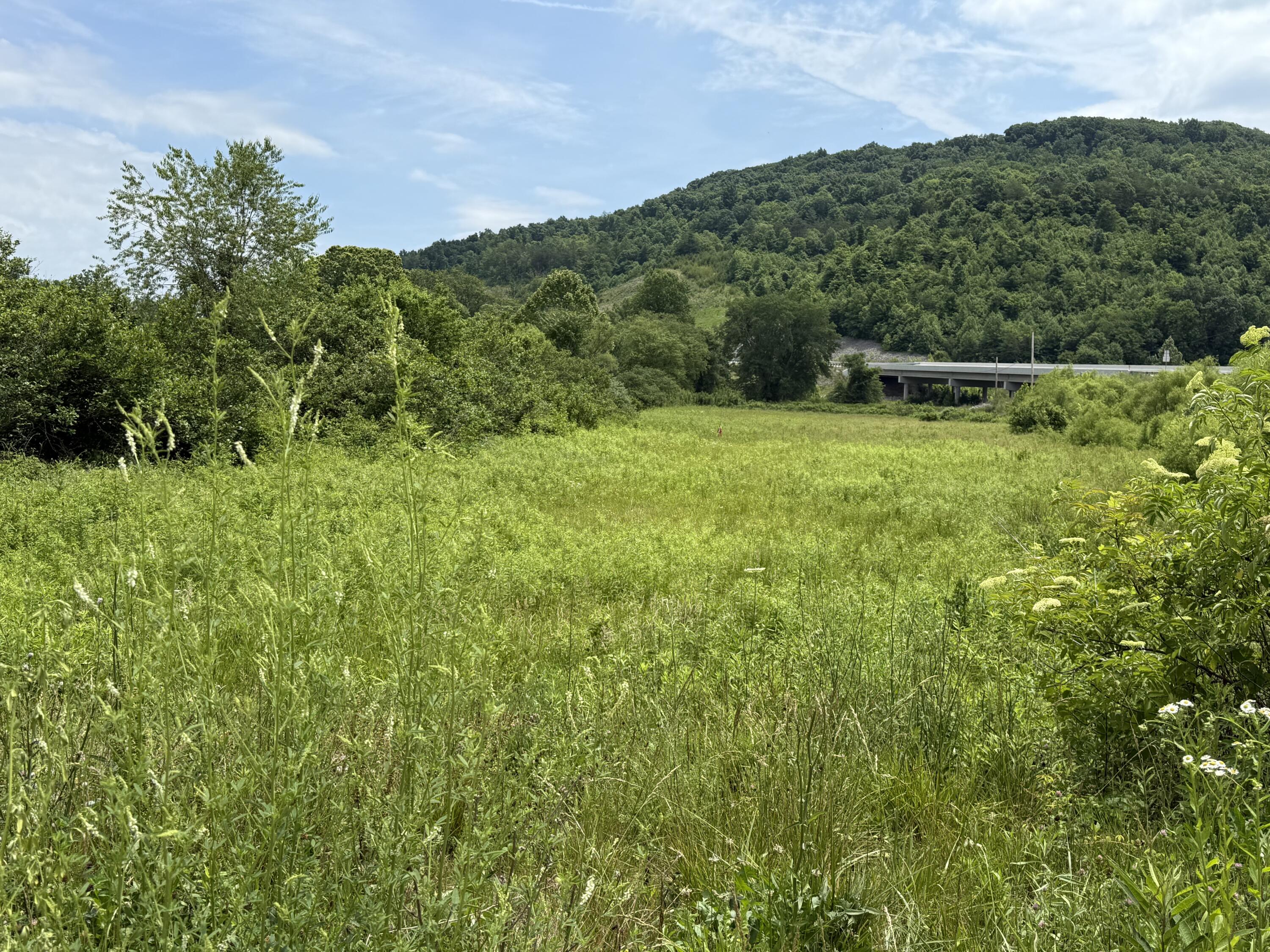 3988 Kentucky 592 Property Photo 4