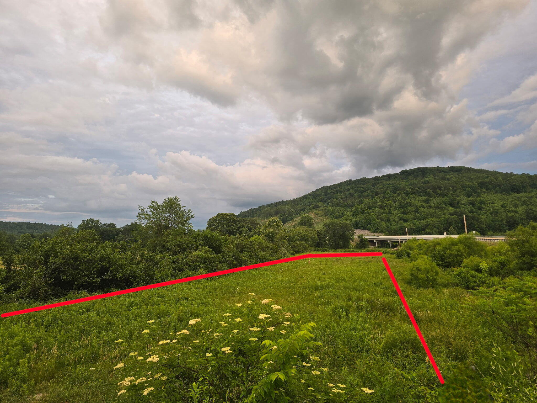3988 Kentucky 592 Property Photo 8