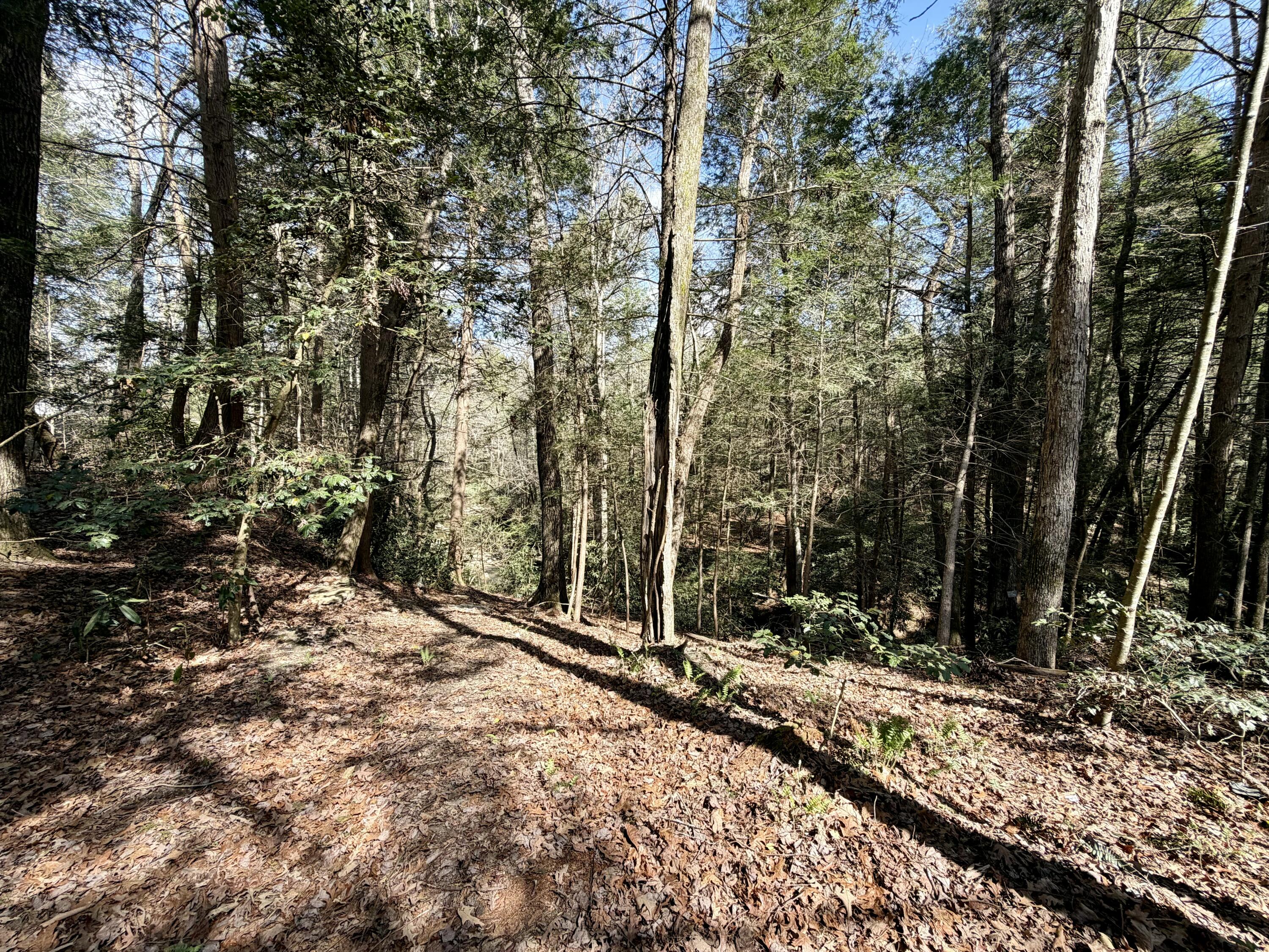 112 Speed Drive Property Photo 25