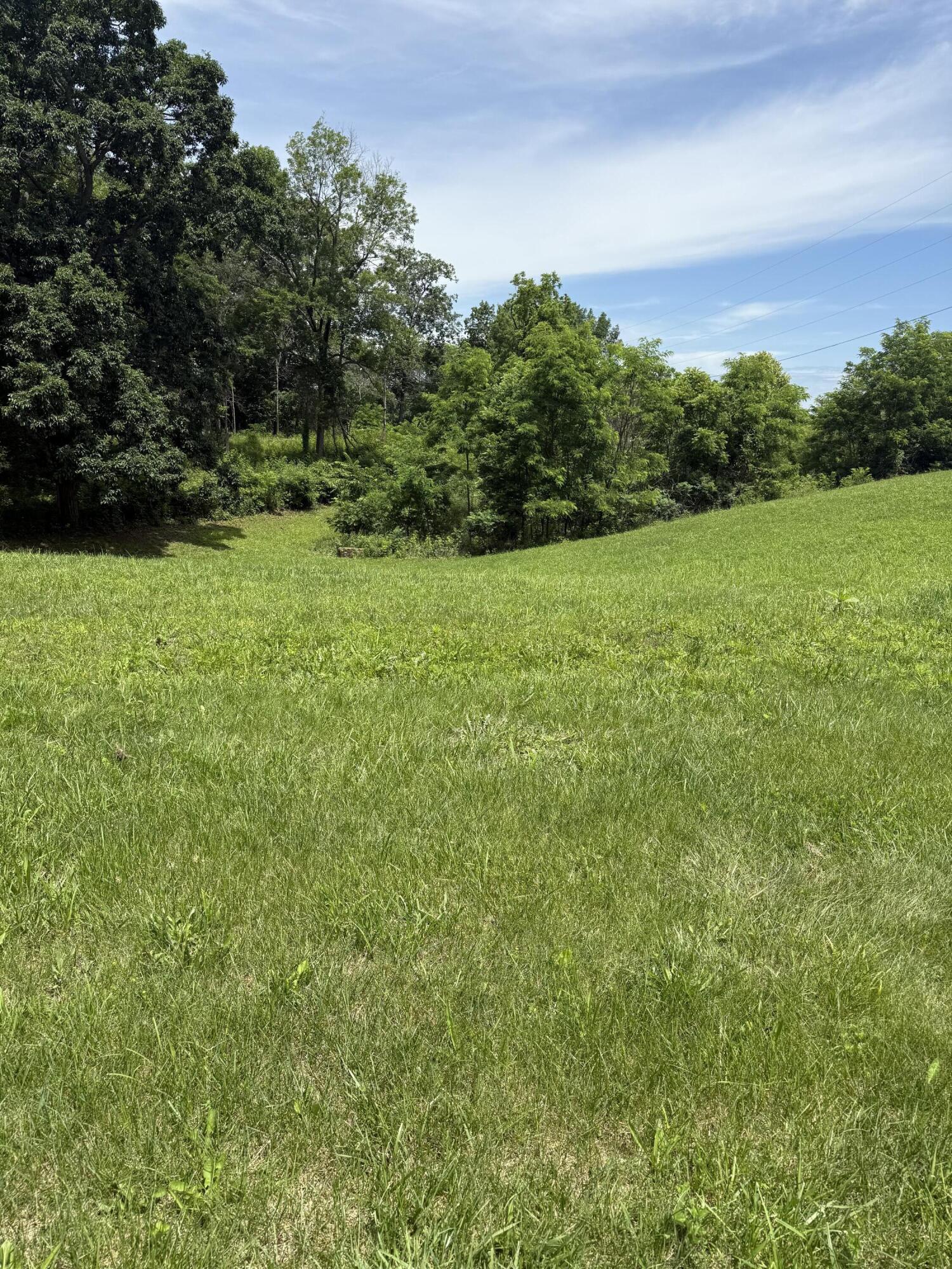 2339 Dreyfus Road Property Photo 3