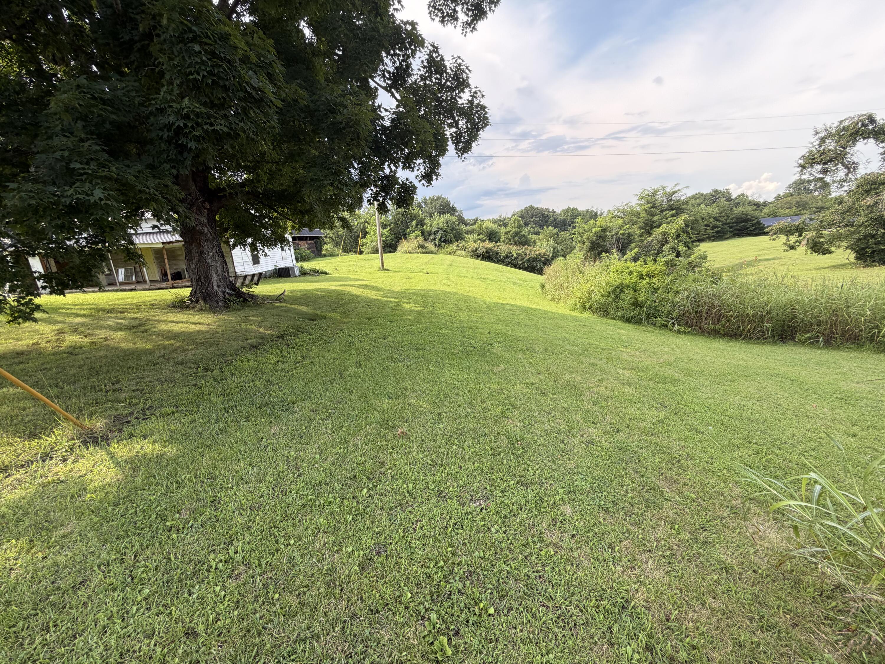 2339 Dreyfus Road Property Photo 6