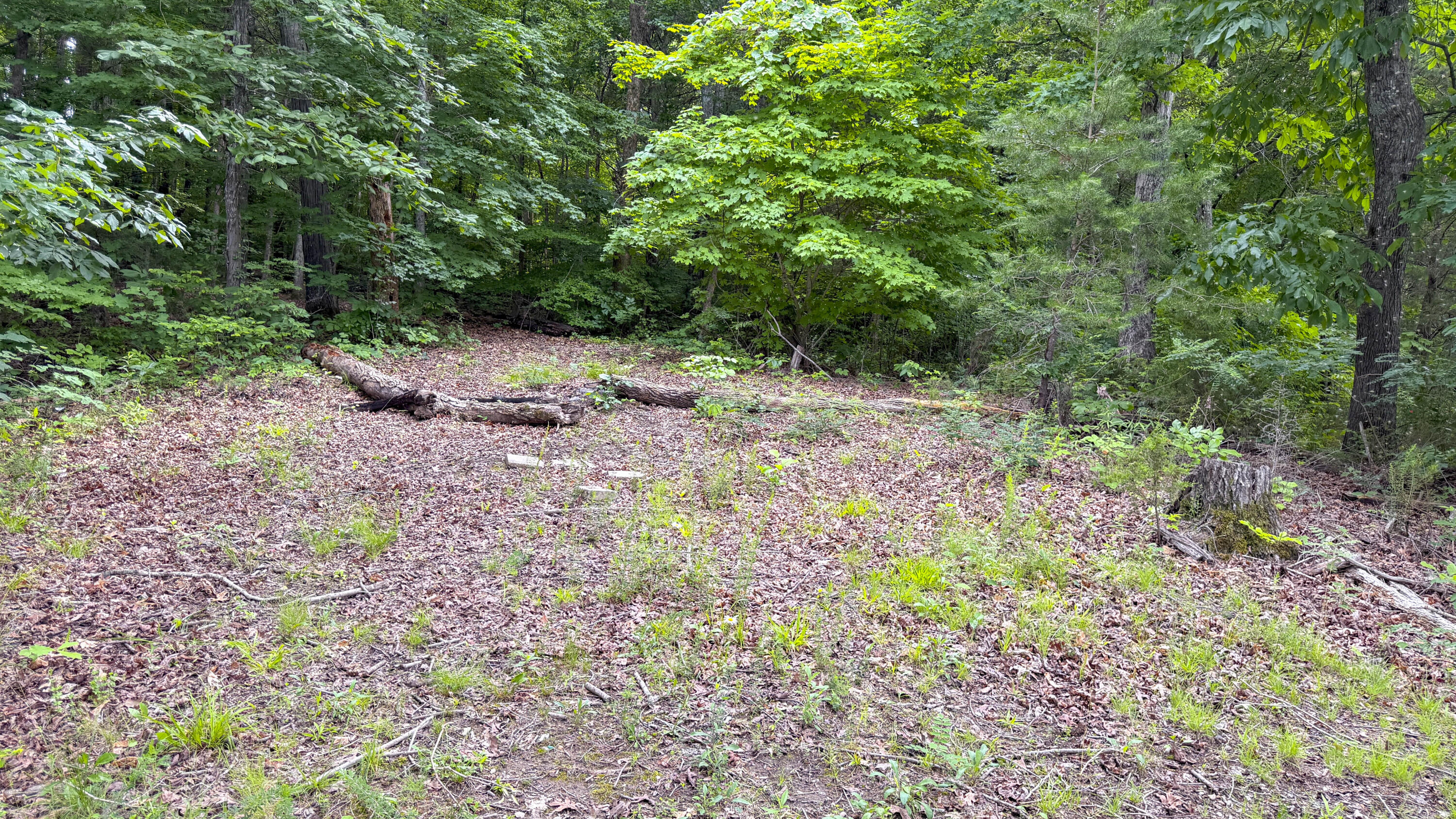 554 Colson Drive Property Photo 60