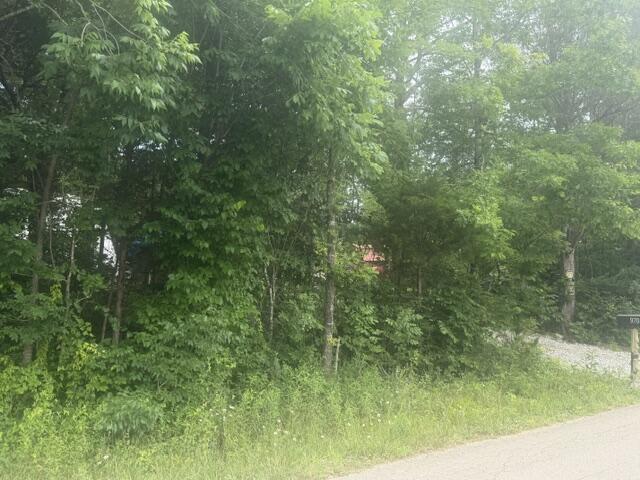 970 Lakeshore Drive Property Photo 2