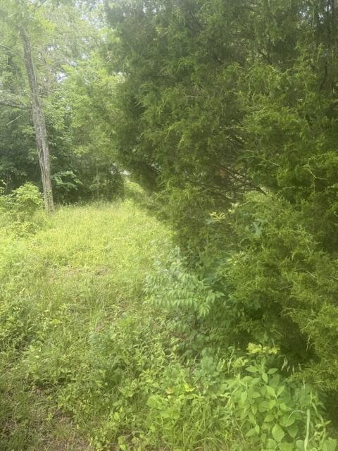 970 Lakeshore Drive Property Photo 14