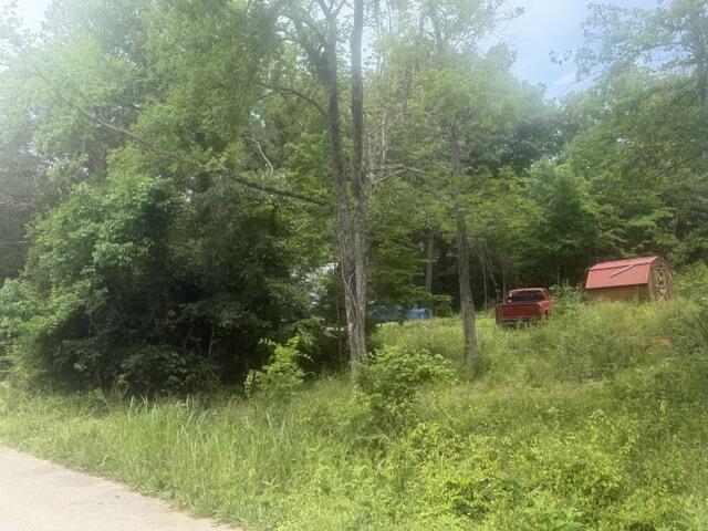 970 Lakeshore Drive Property Photo 15