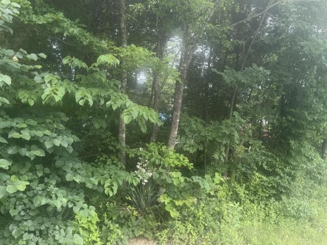 970 Lakeshore Drive Property Photo 16