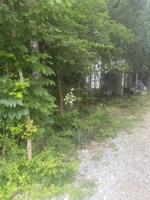 970 Lakeshore Drive Property Photo 18
