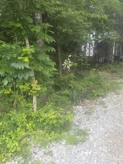 970 Lakeshore Drive Property Photo 19
