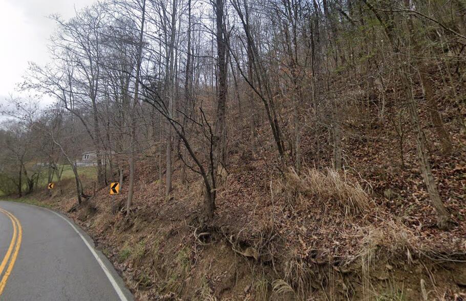 0 Toler Creek Road Property Photo 2