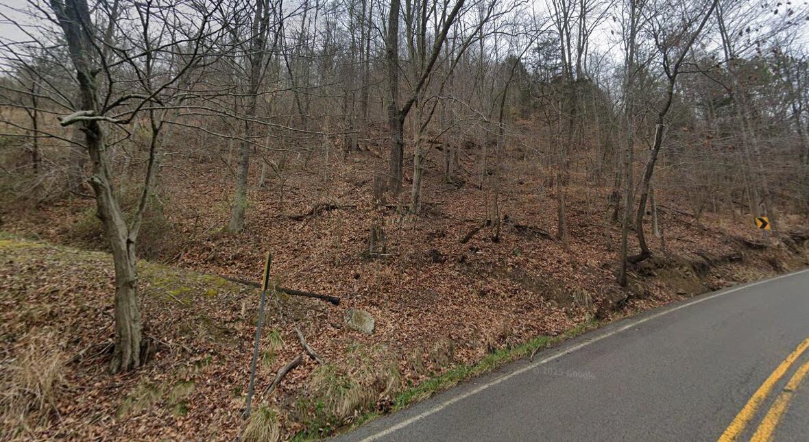 0 Toler Creek Road Property Photo 3