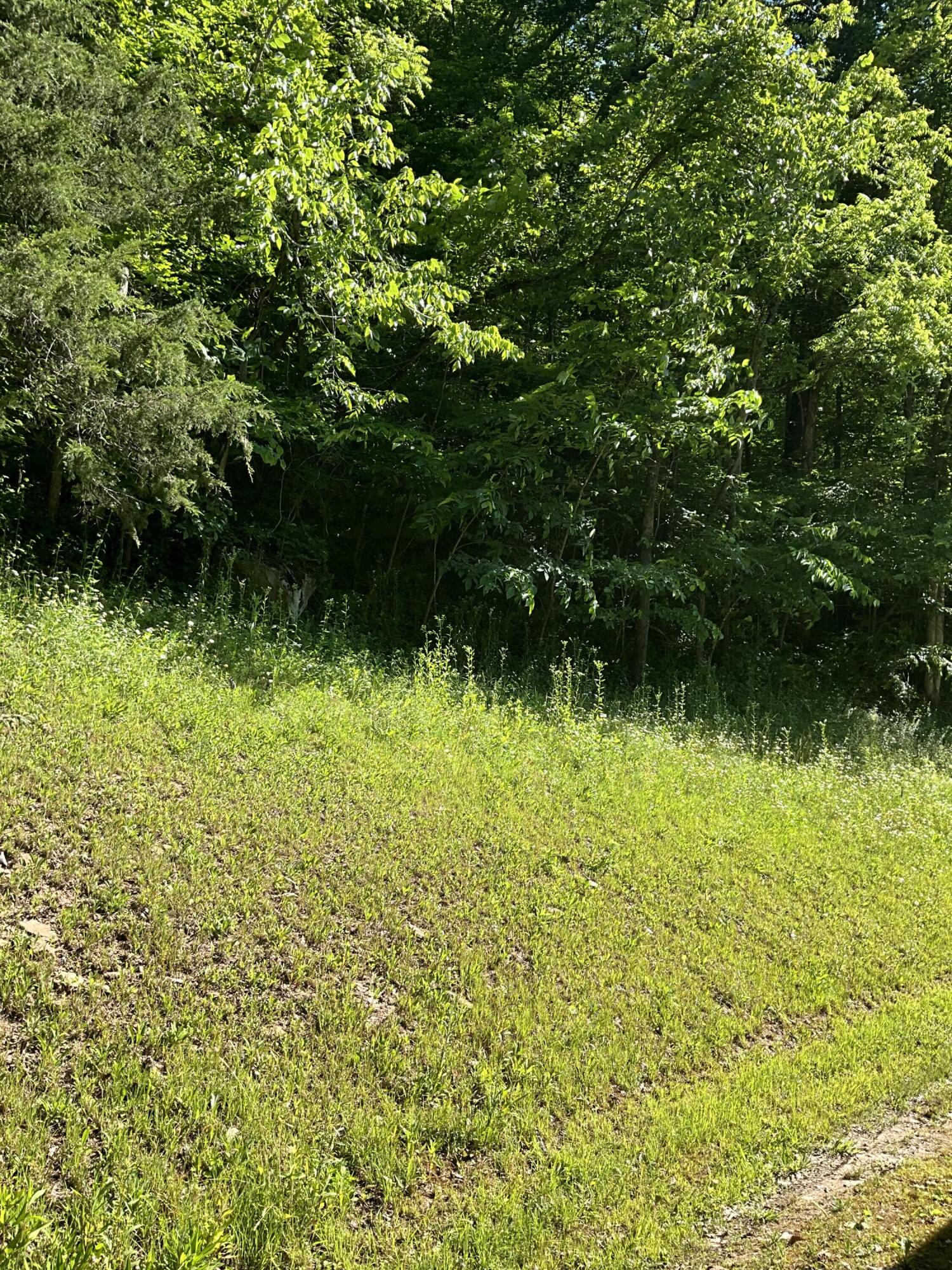 9285 Ky-1524 Property Photo 13
