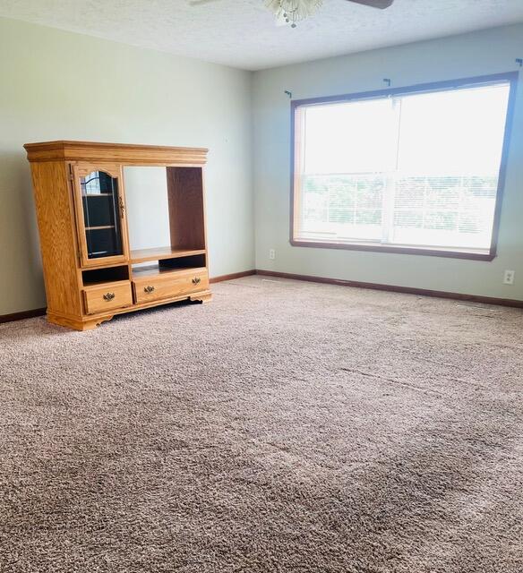 4363 Brush Grove Road Property Photo 16