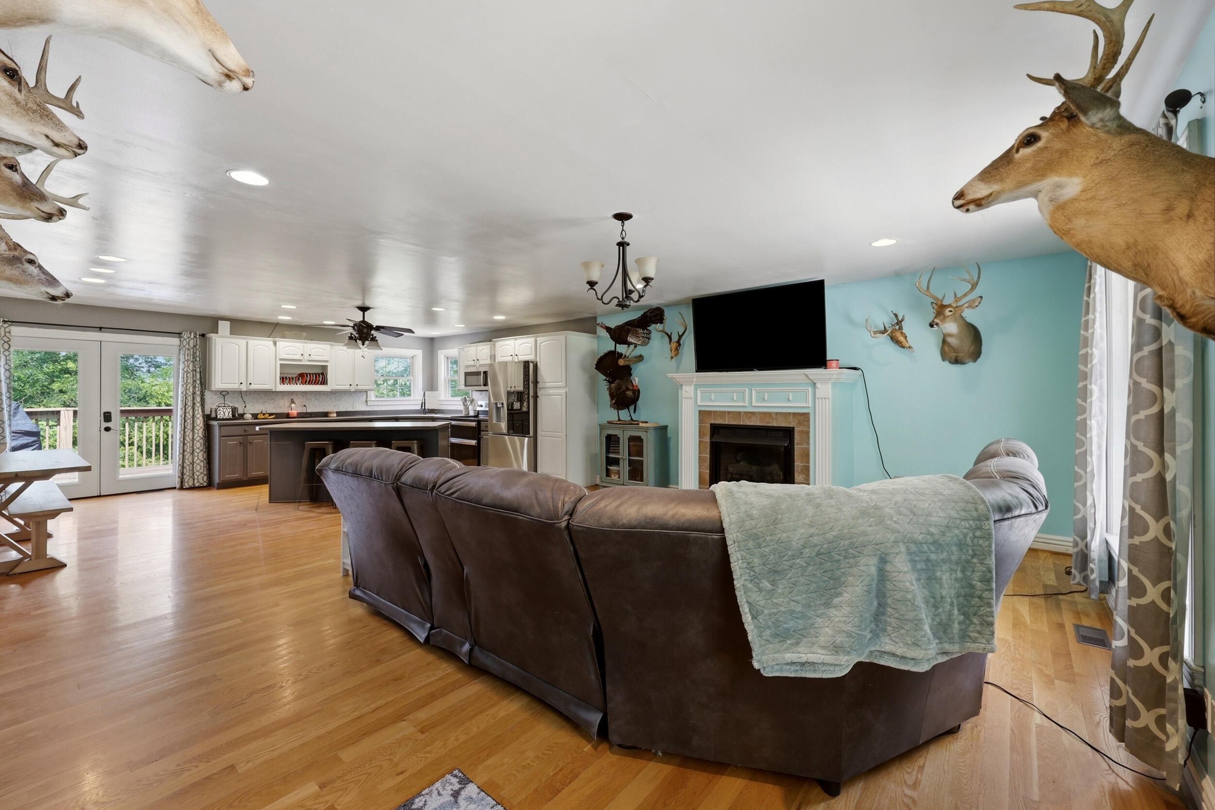 688 Cap Bottom Lane Property Photo 5