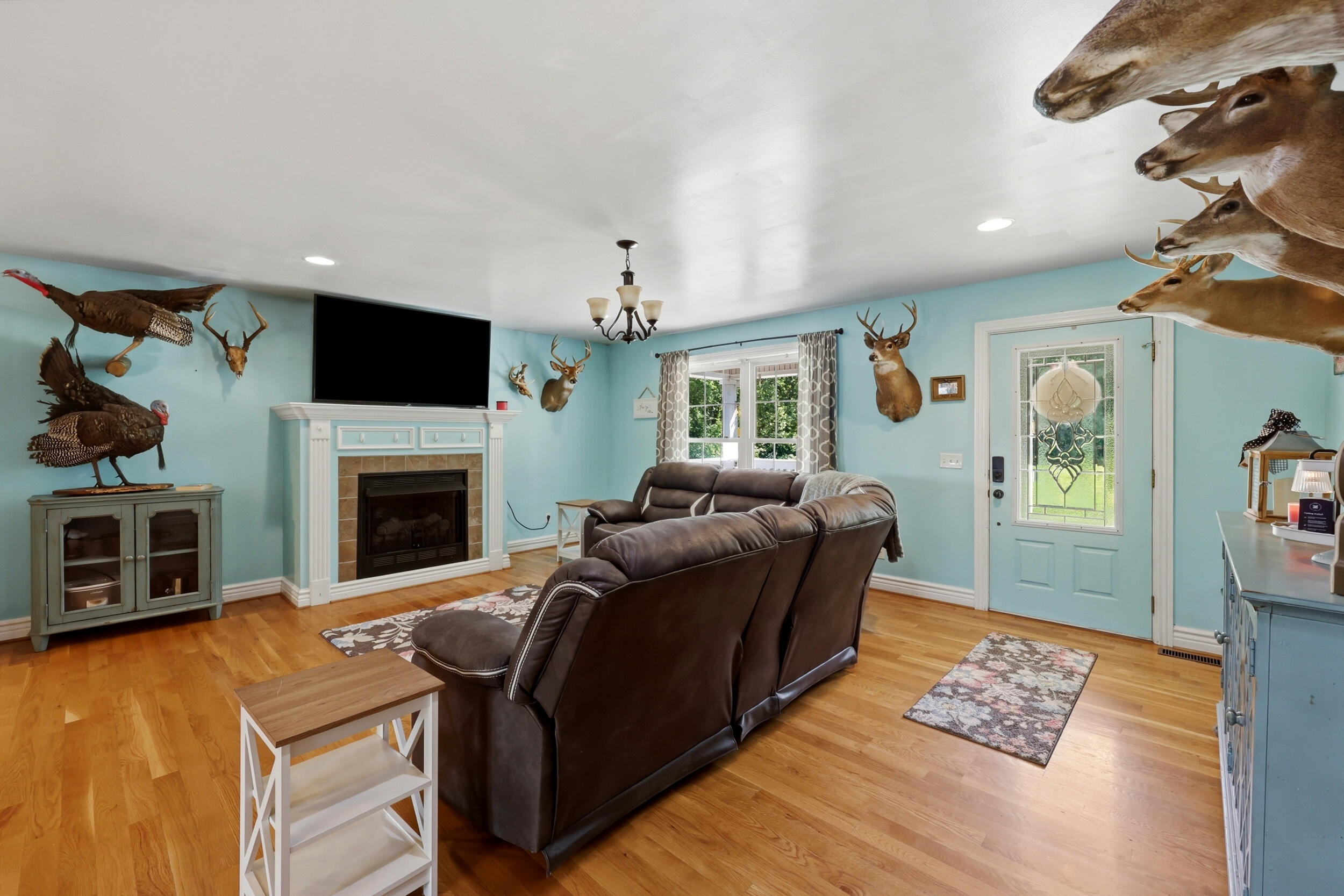 688 Cap Bottom Lane Property Photo 6