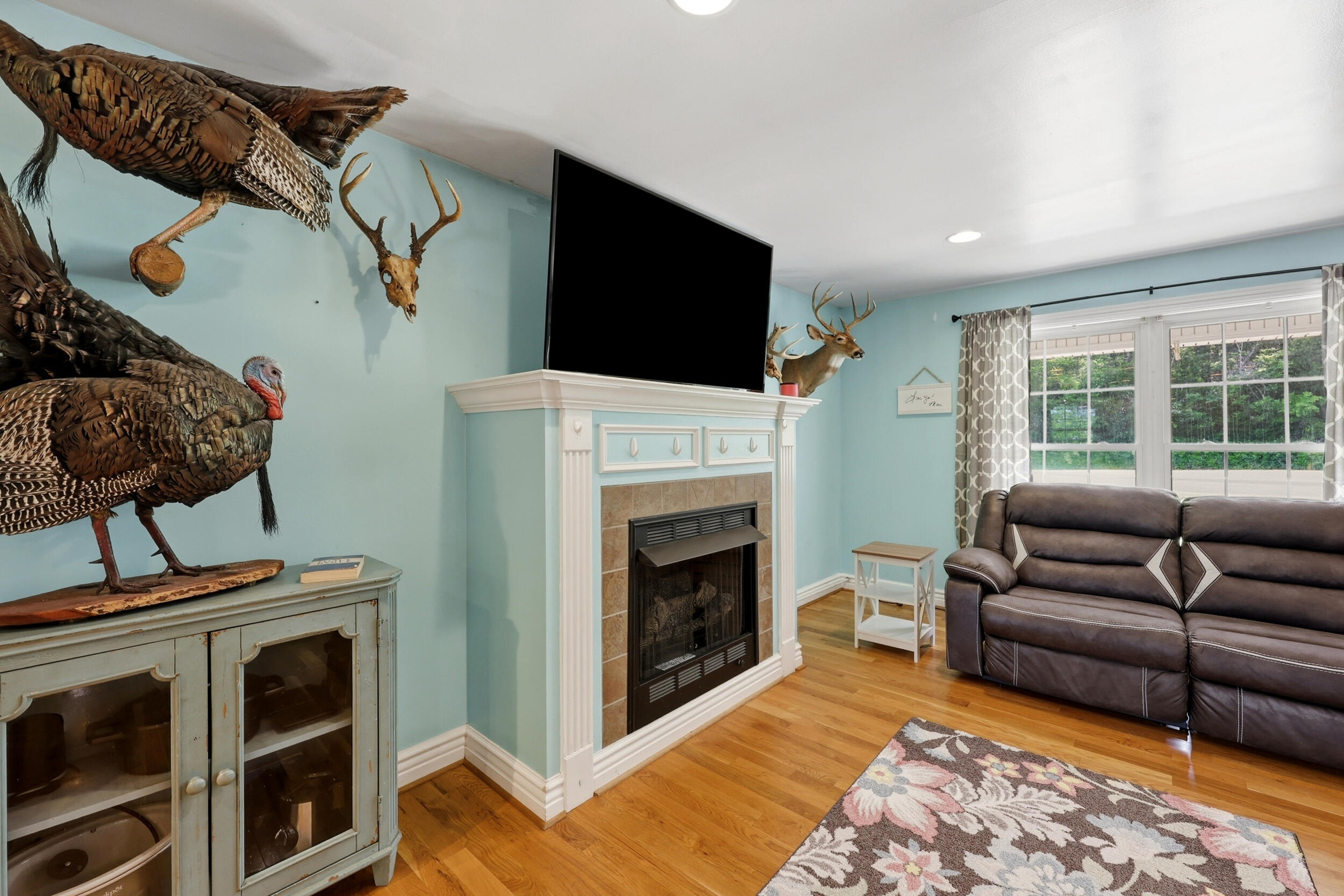 688 Cap Bottom Lane Property Photo 8