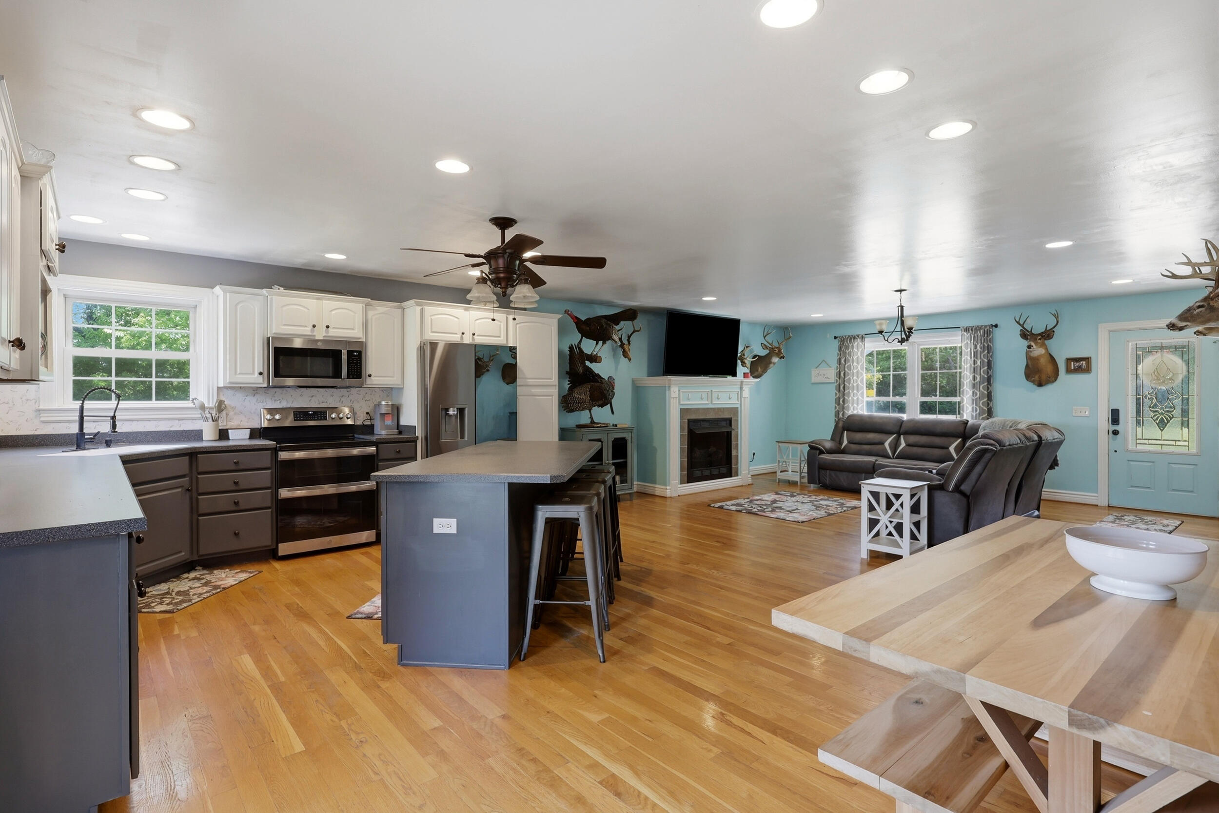 688 Cap Bottom Lane Property Photo 11