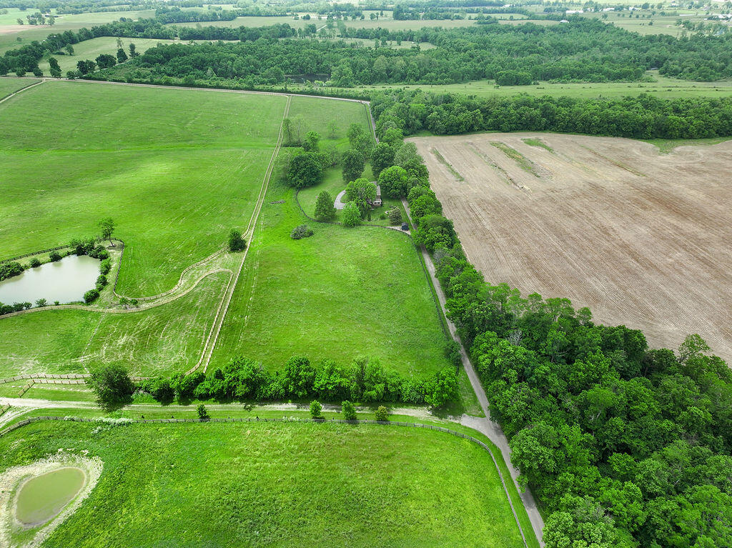 1601 Ferguson Road Property Photo 43
